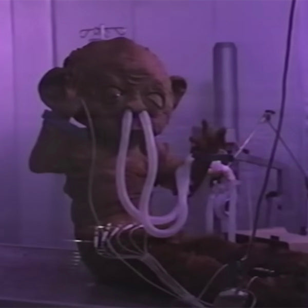 Jan 14: VHS in a woodchipper, Wu-Tang, Polaroid portraits and more