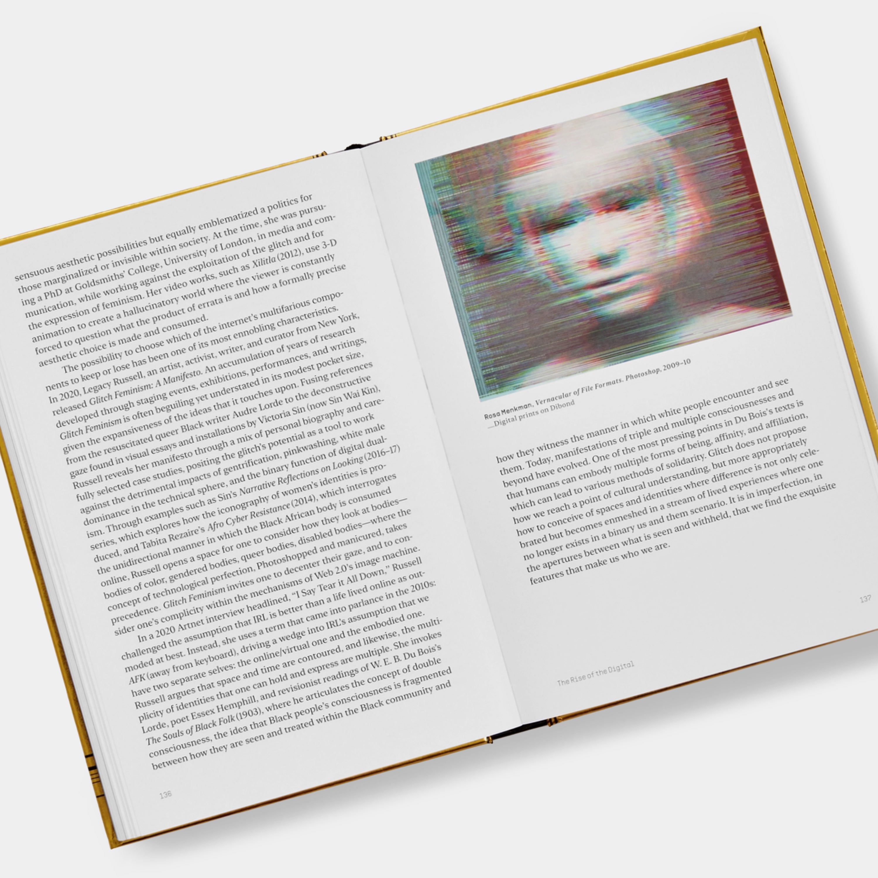 Internet_Art: From the Birth of the Web to the Rise of NFTs Phaidon Book