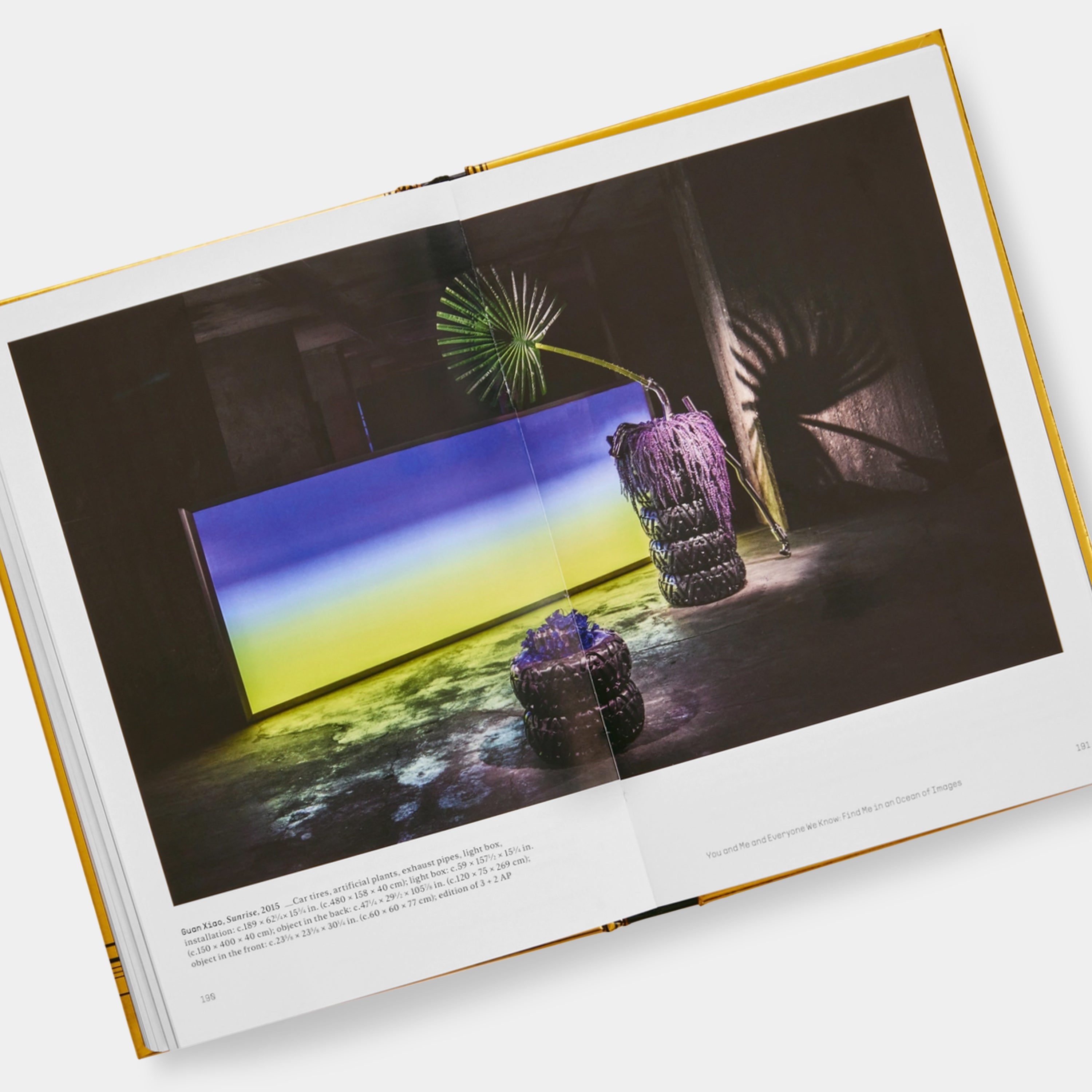 Internet_Art: From the Birth of the Web to the Rise of NFTs Phaidon Book