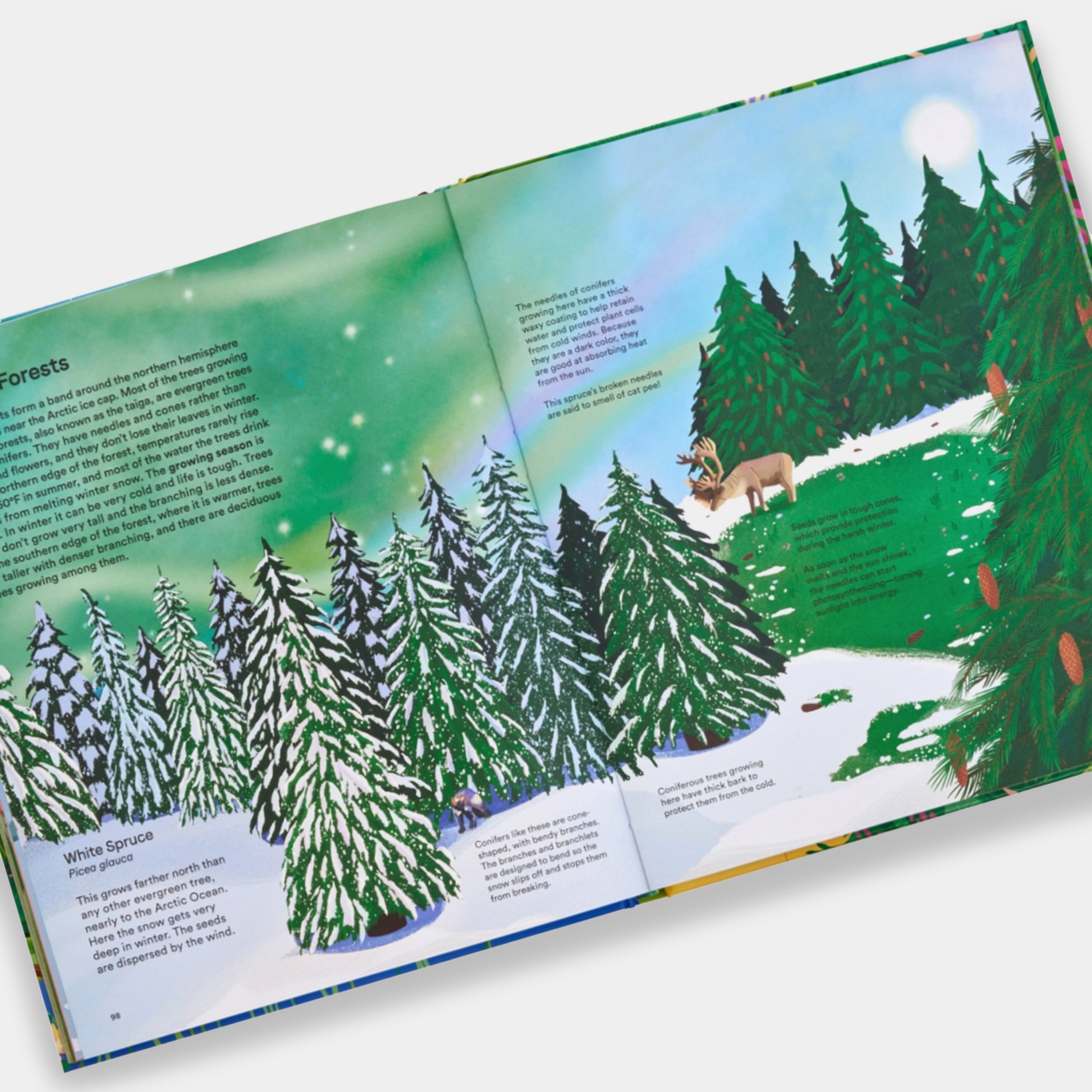 A Home for Every Plant: Wonders of the Botanical World Phaidon Book