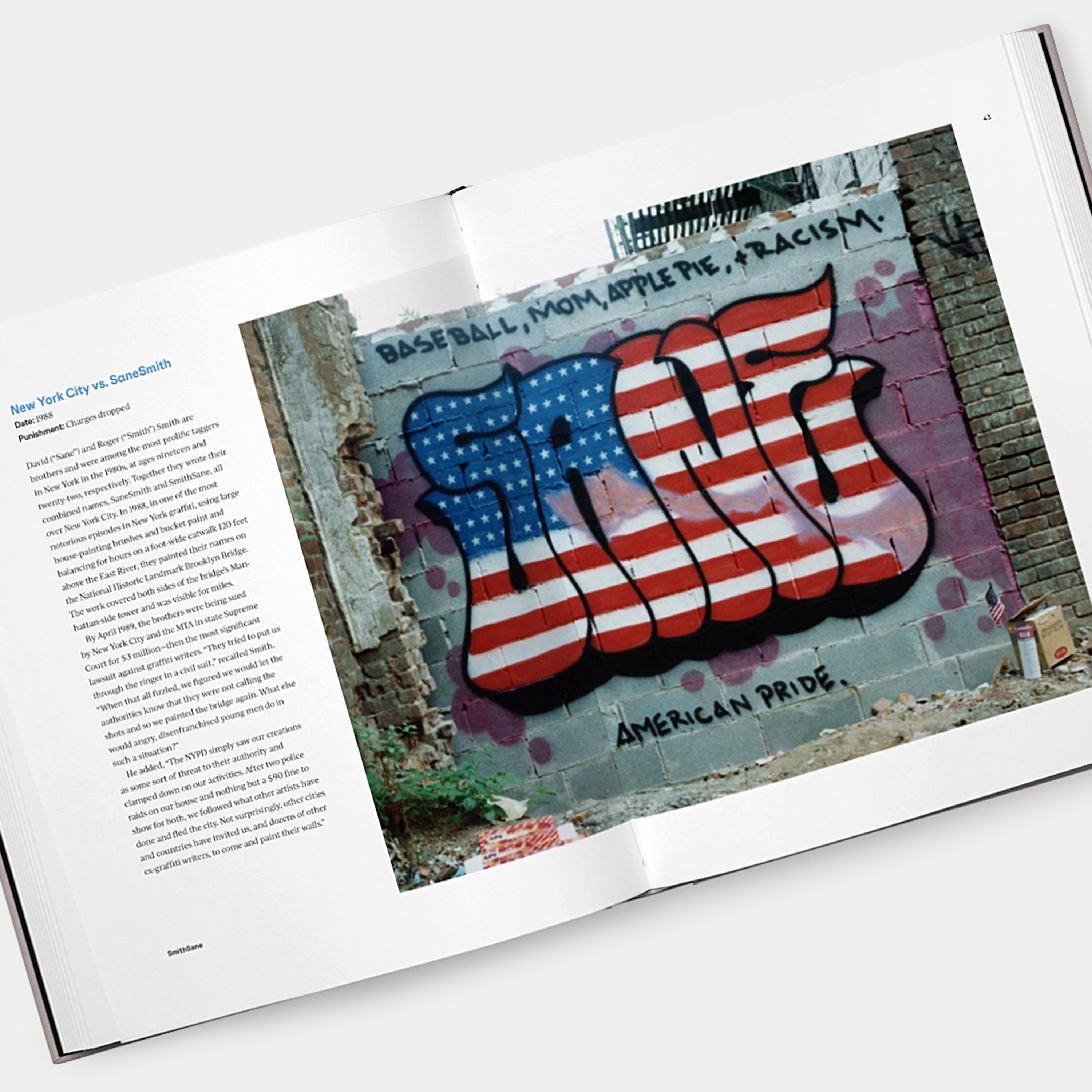 The Wide World of Graffiti Phaidon Book