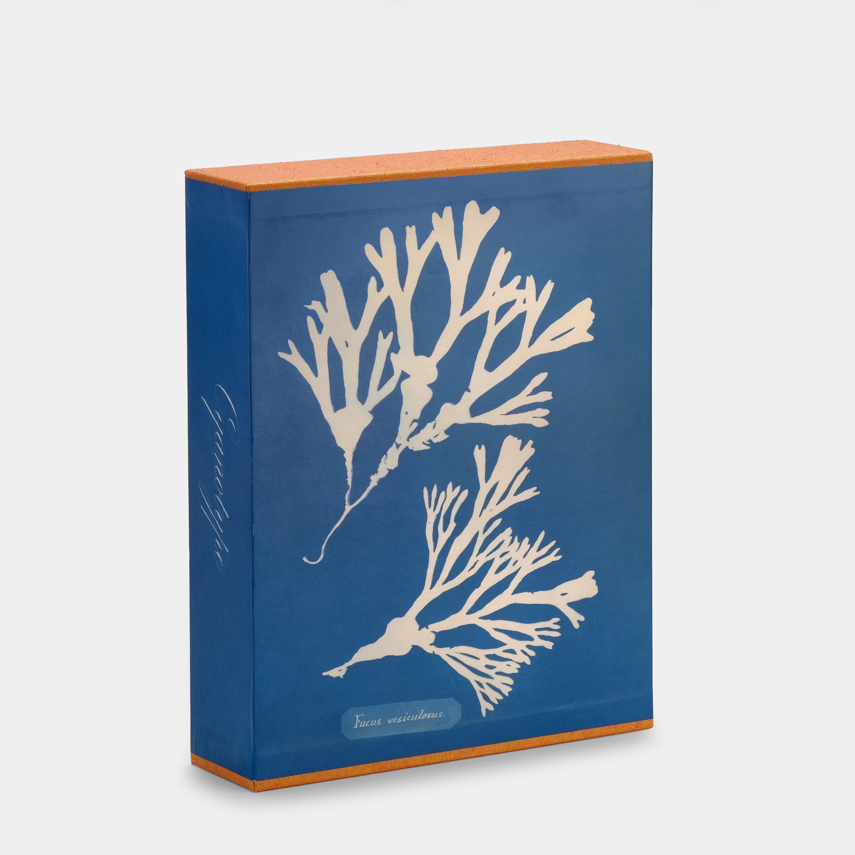 Anna Atkins: Cyanotypes Taschen Book