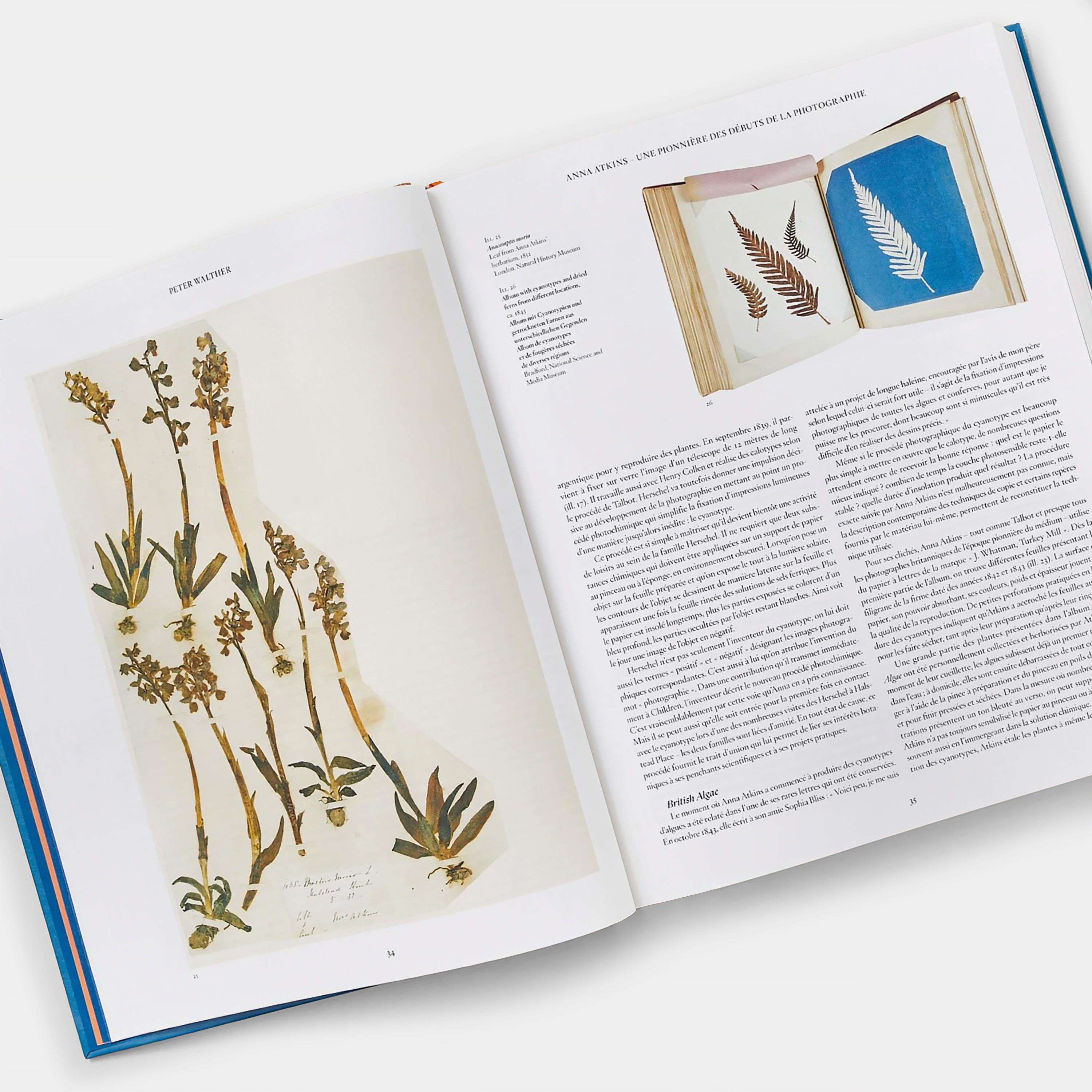 Anna Atkins: Cyanotypes Taschen Book