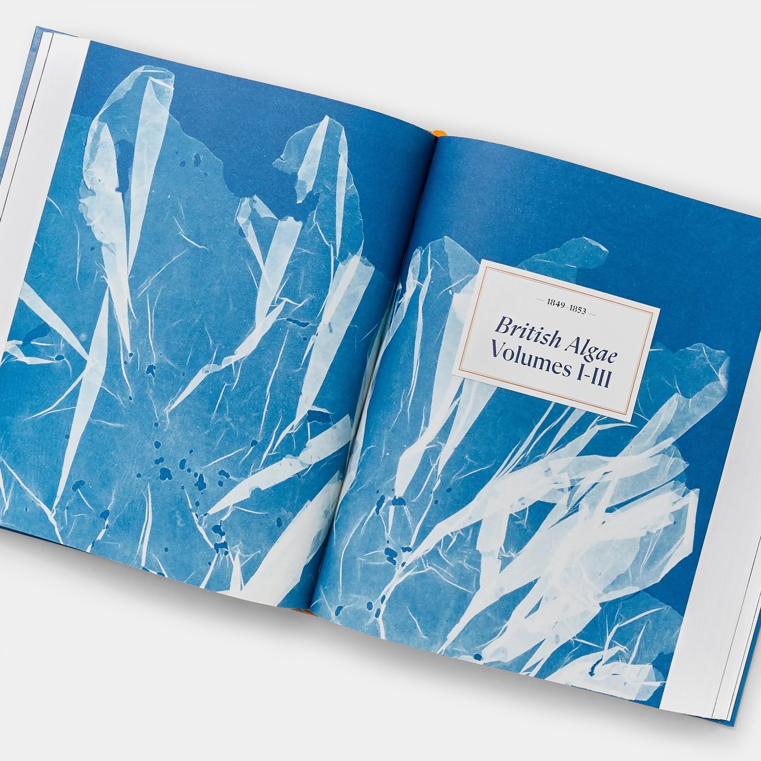 Anna Atkins: Cyanotypes Taschen Book