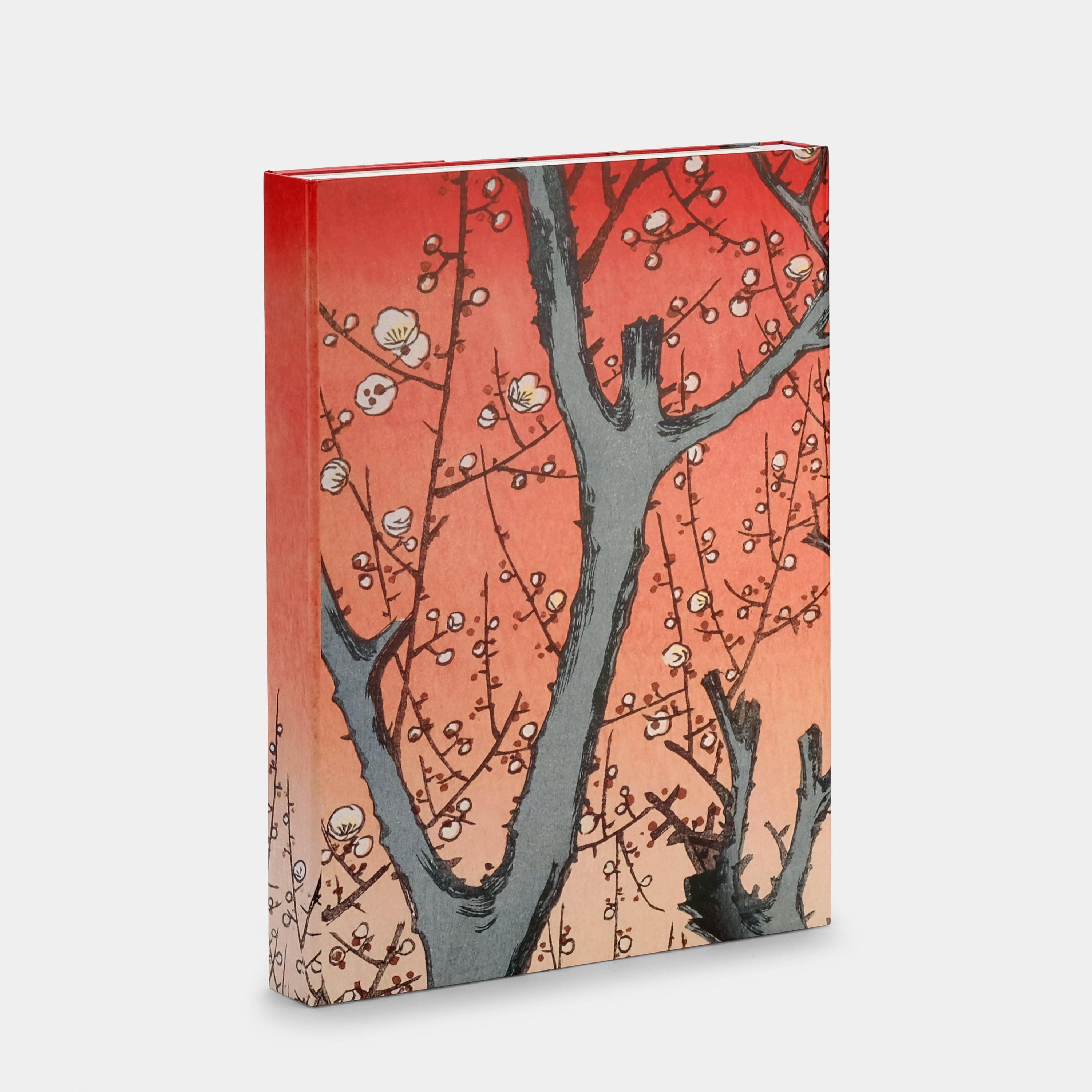 Hiroshige: One Hundred Famous Views of Edo XL Taschen Book