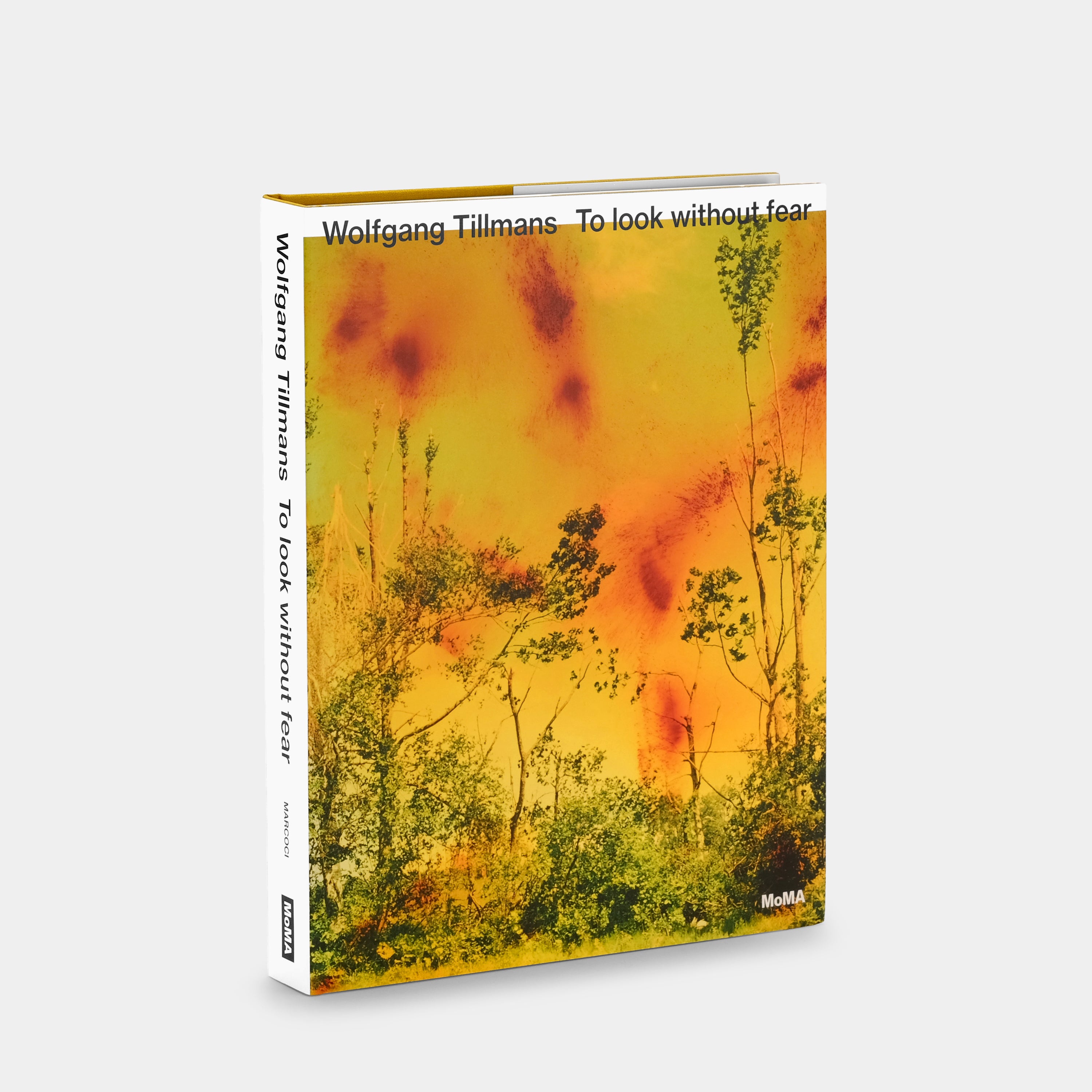 Wolfgang Tillmans: To look without fear Book