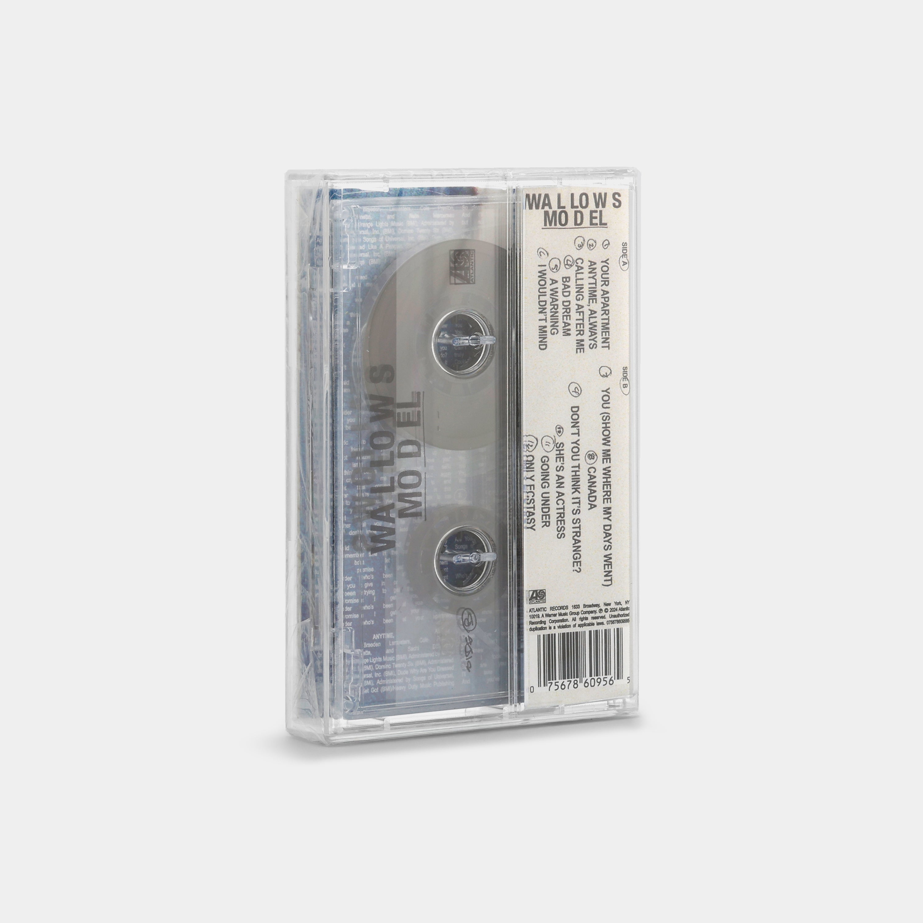 Wallows - Model Cassette Tape