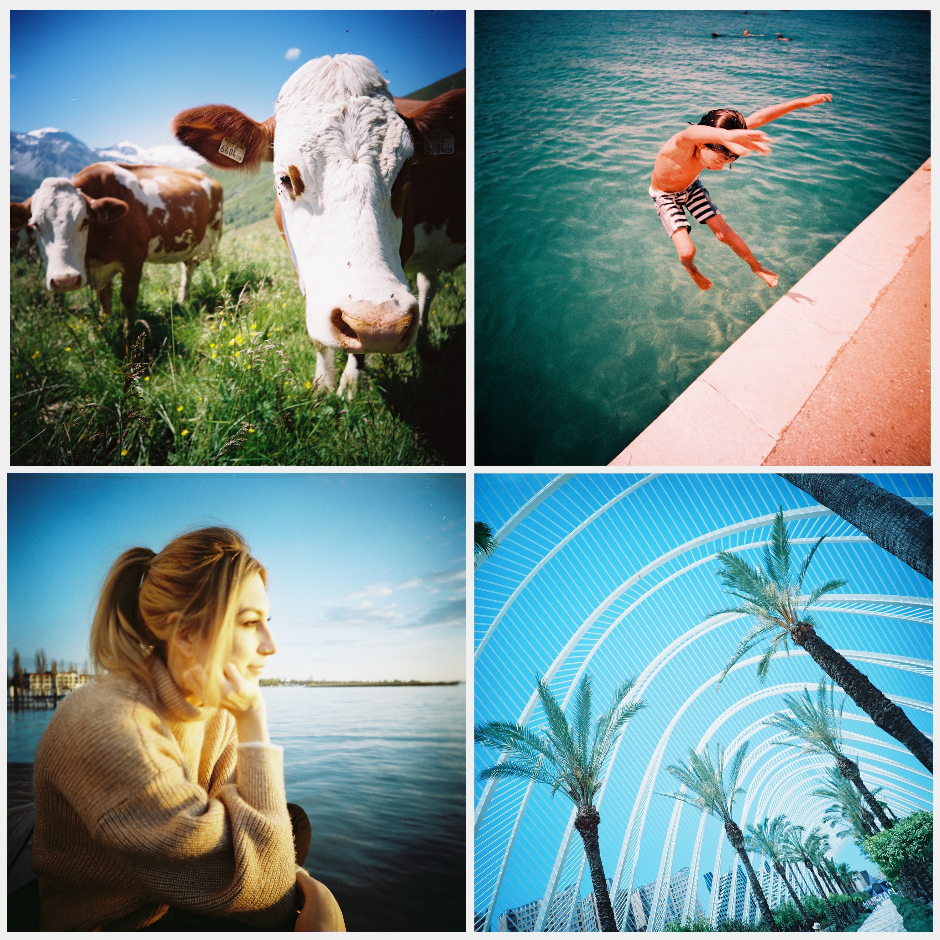 Expired Lomography Color Negative 100 ISO 120 Film - 3 Pack