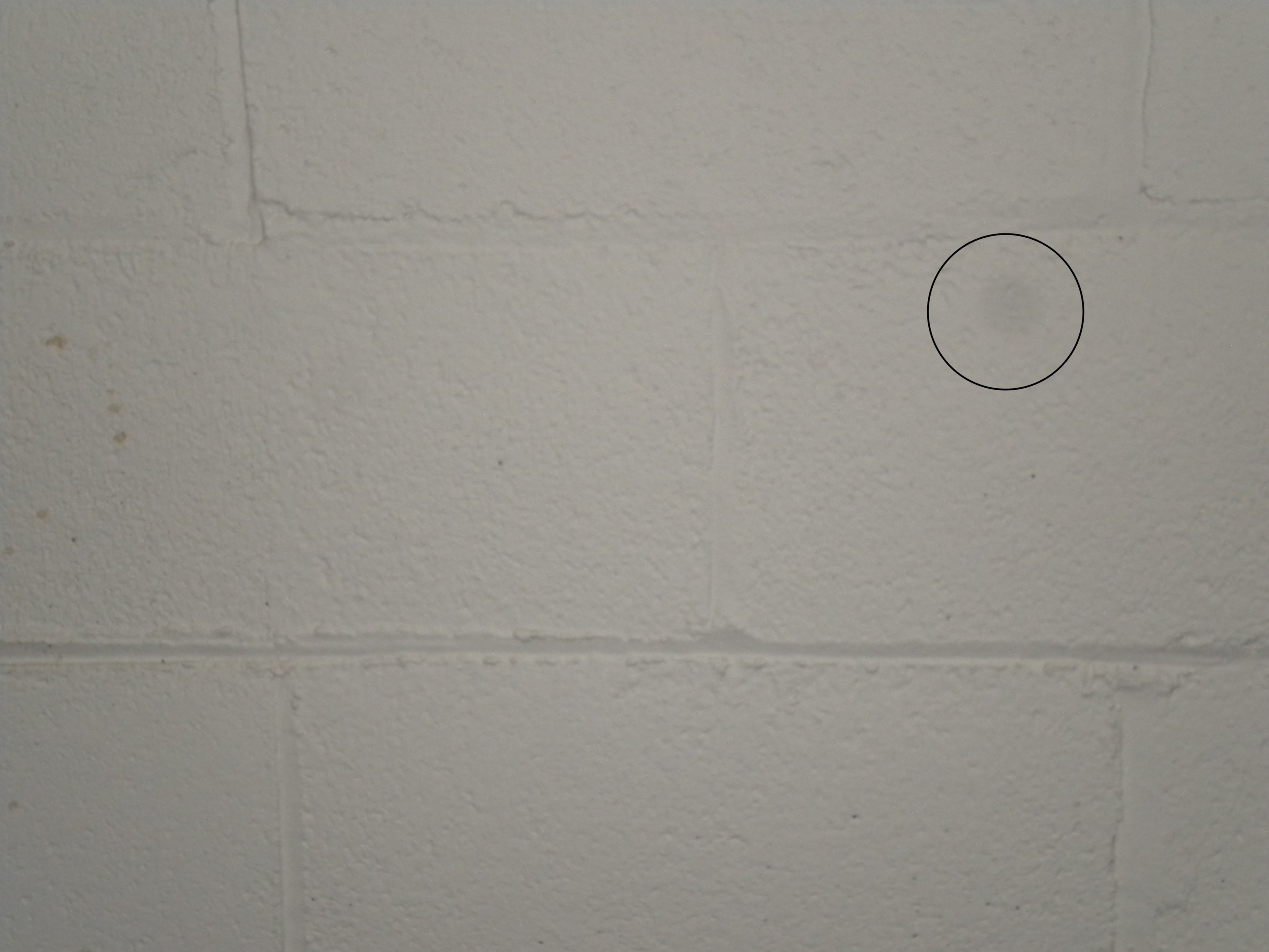 Nikon Coolpix S220 Point and Shoot Digital Camera