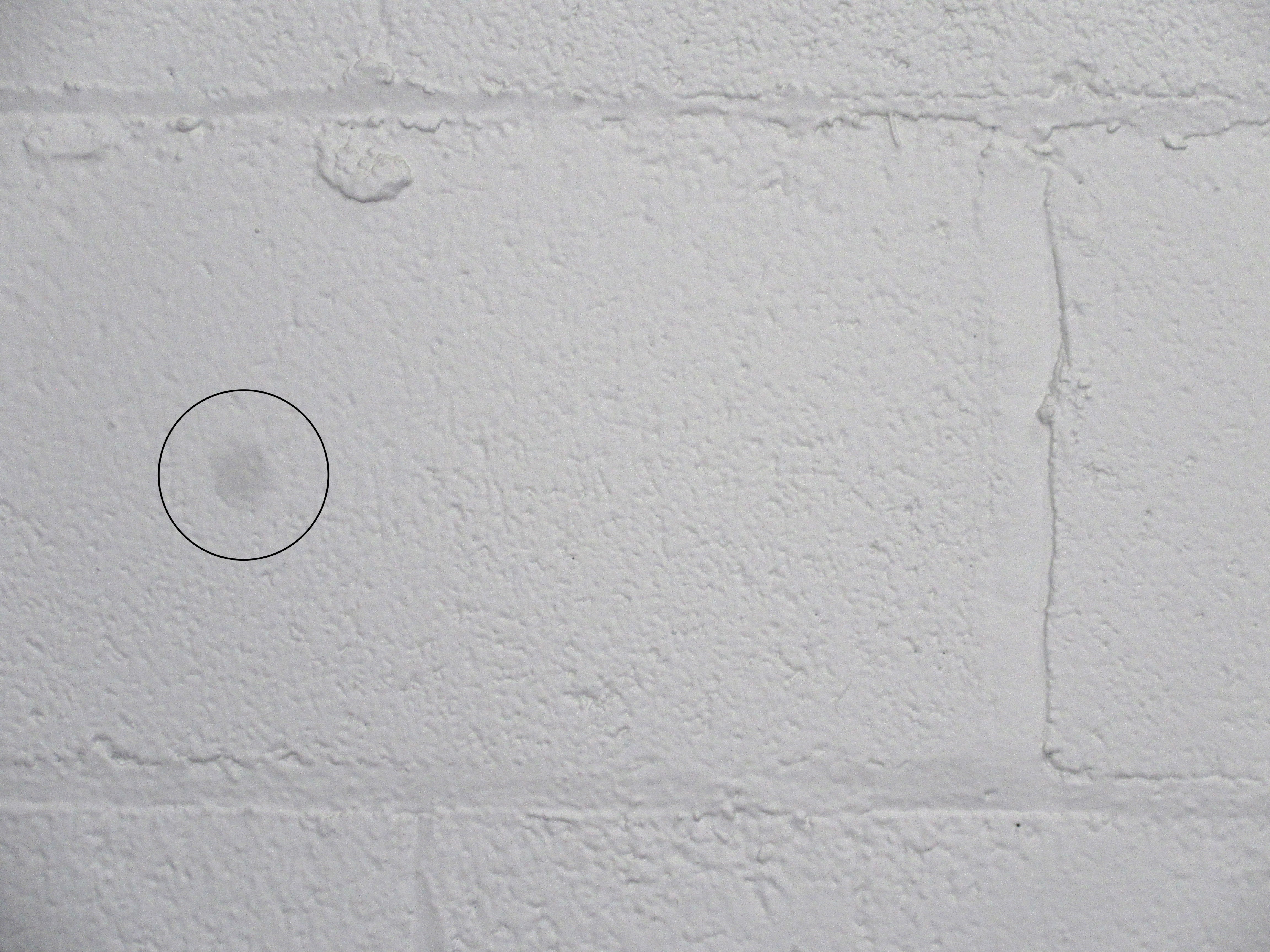 Canon Powershot ELPH 340 HS Black Point and Shoot Digital Camera