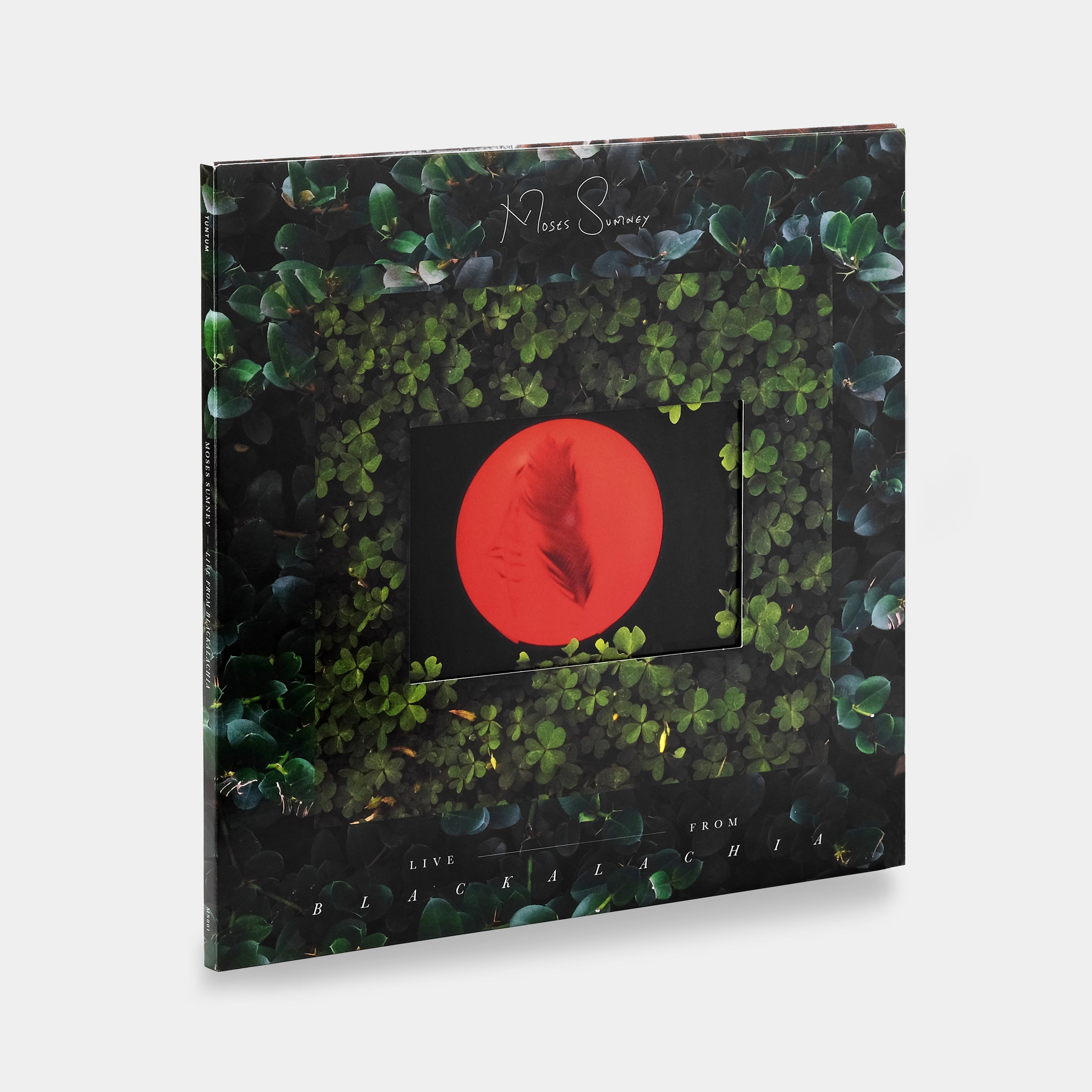 Moses Sumney - Live From Blackalachia 2xLP Vinyl Record