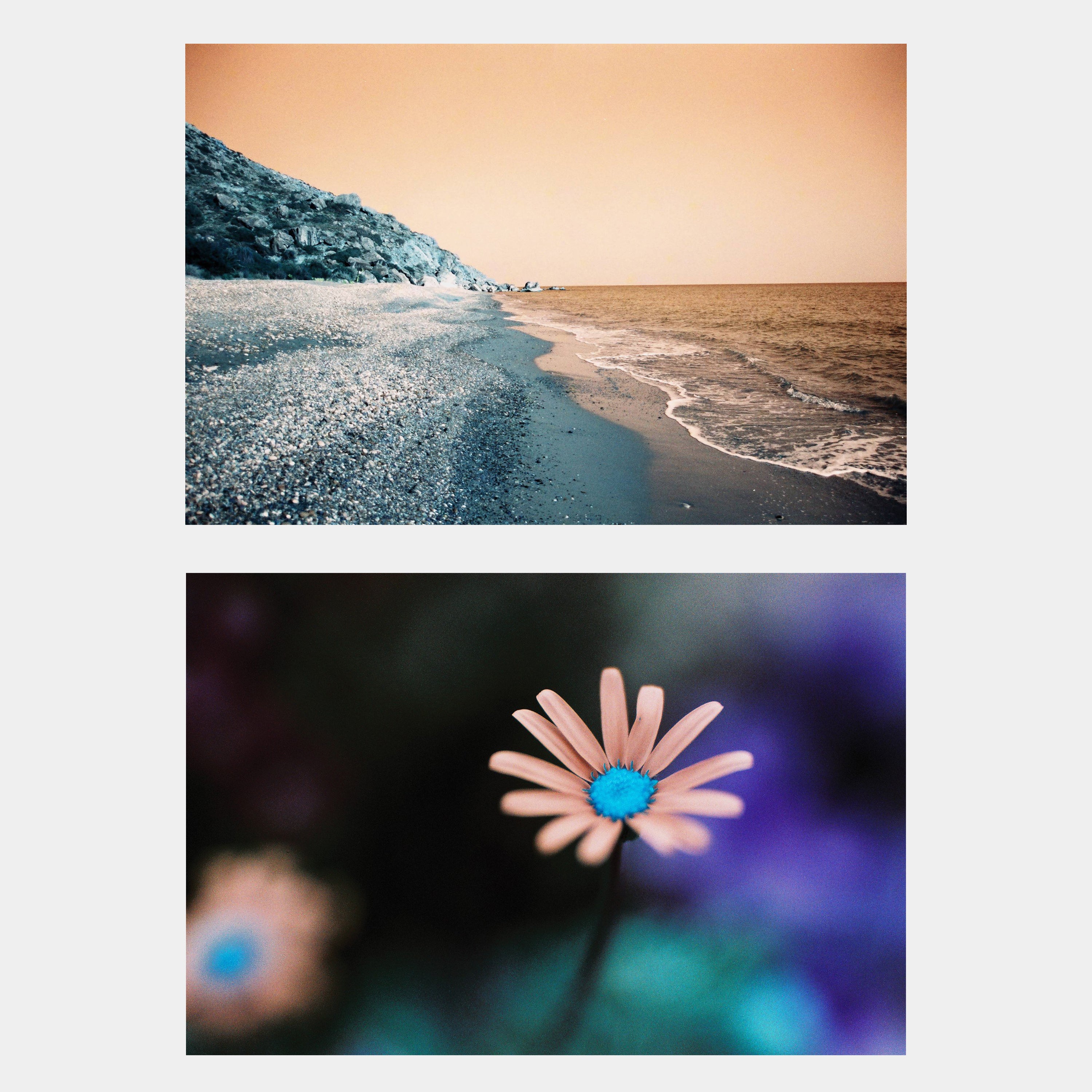 Lomochrome Turquoise ISO 100-400 35mm Film (36 Exposures)