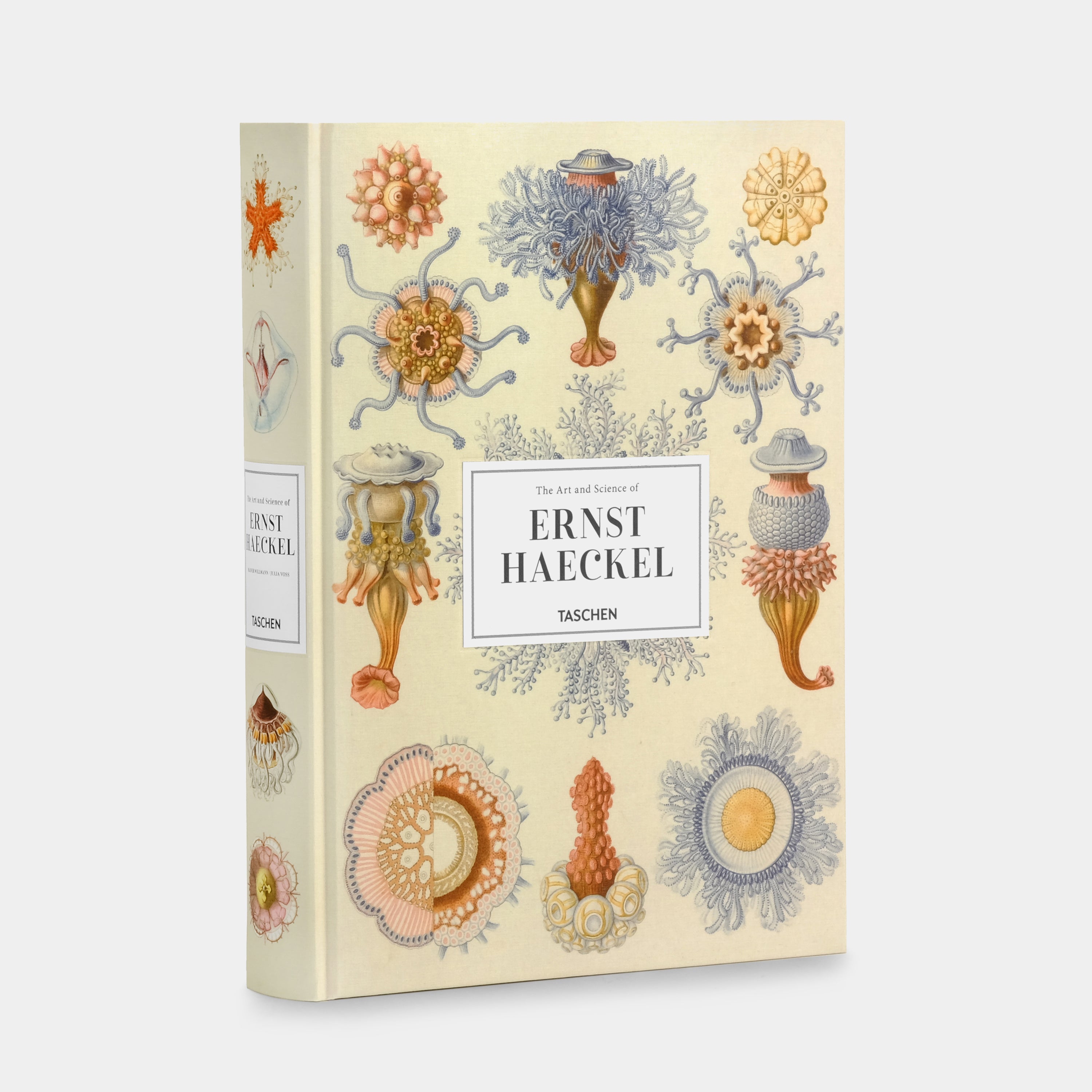 The Art and Science of Ernst Haeckel XXL Taschen Book