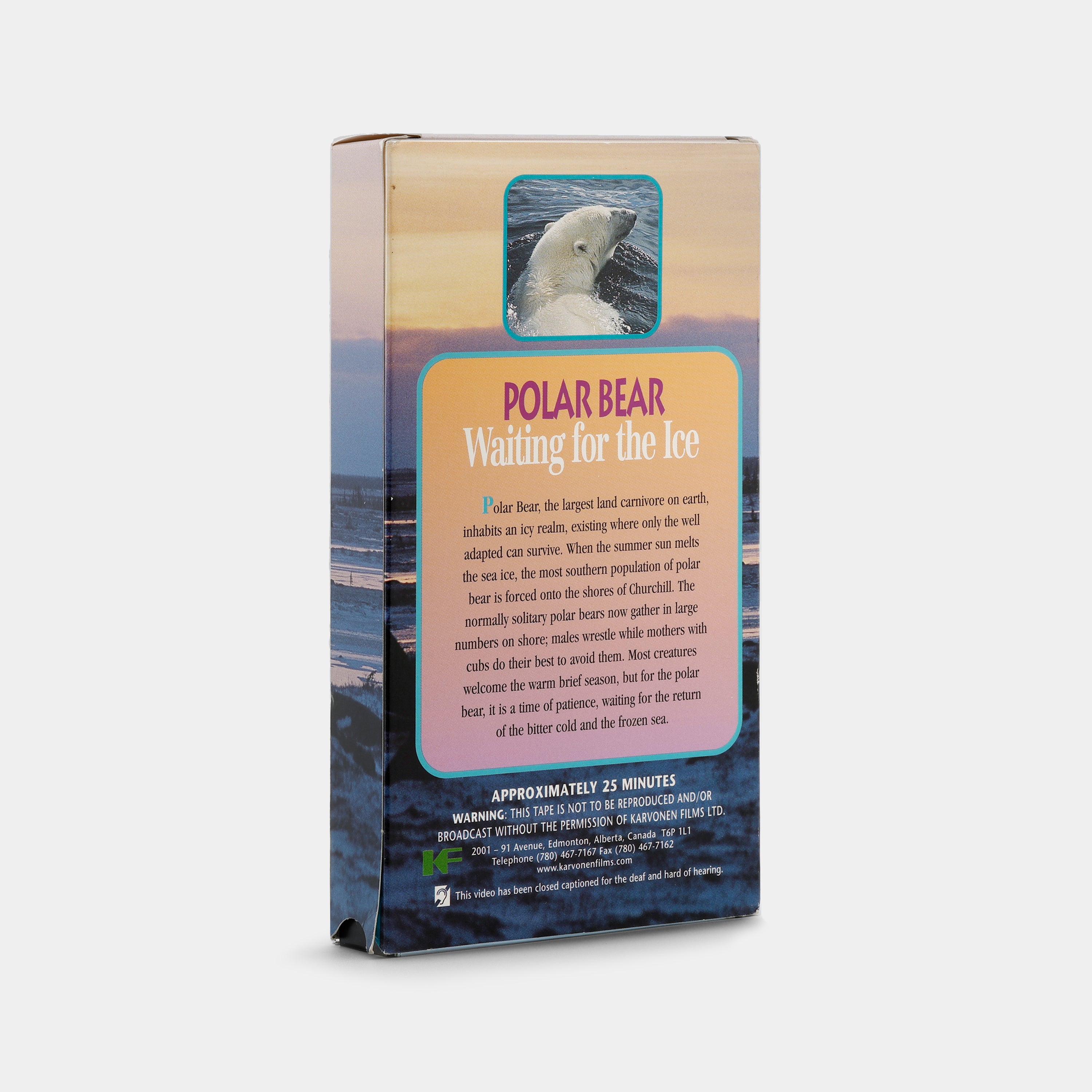 Polar Bear: Waiting for the Ice VHS Tape