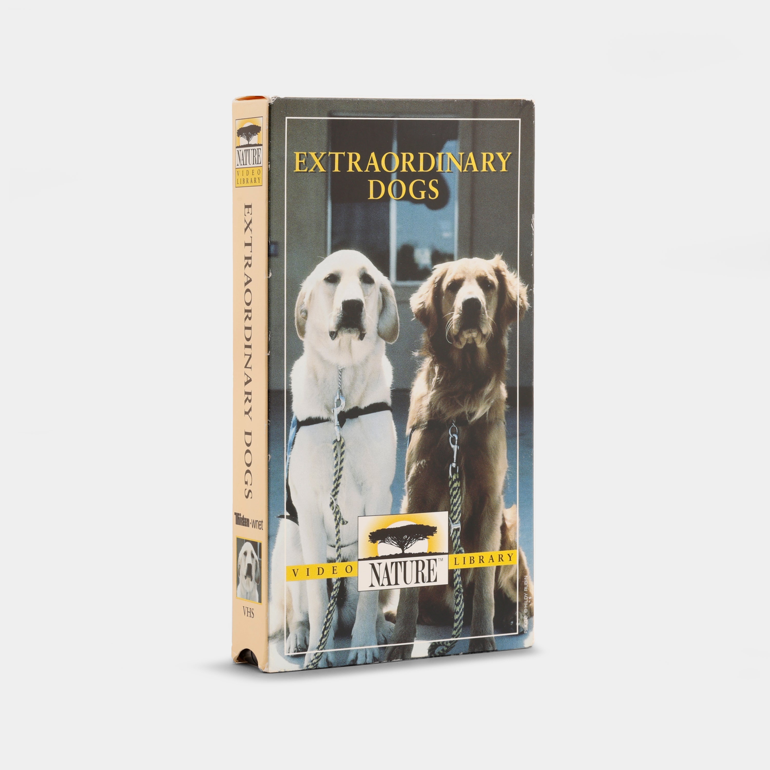 Extraordinary Dogs VHS Tape