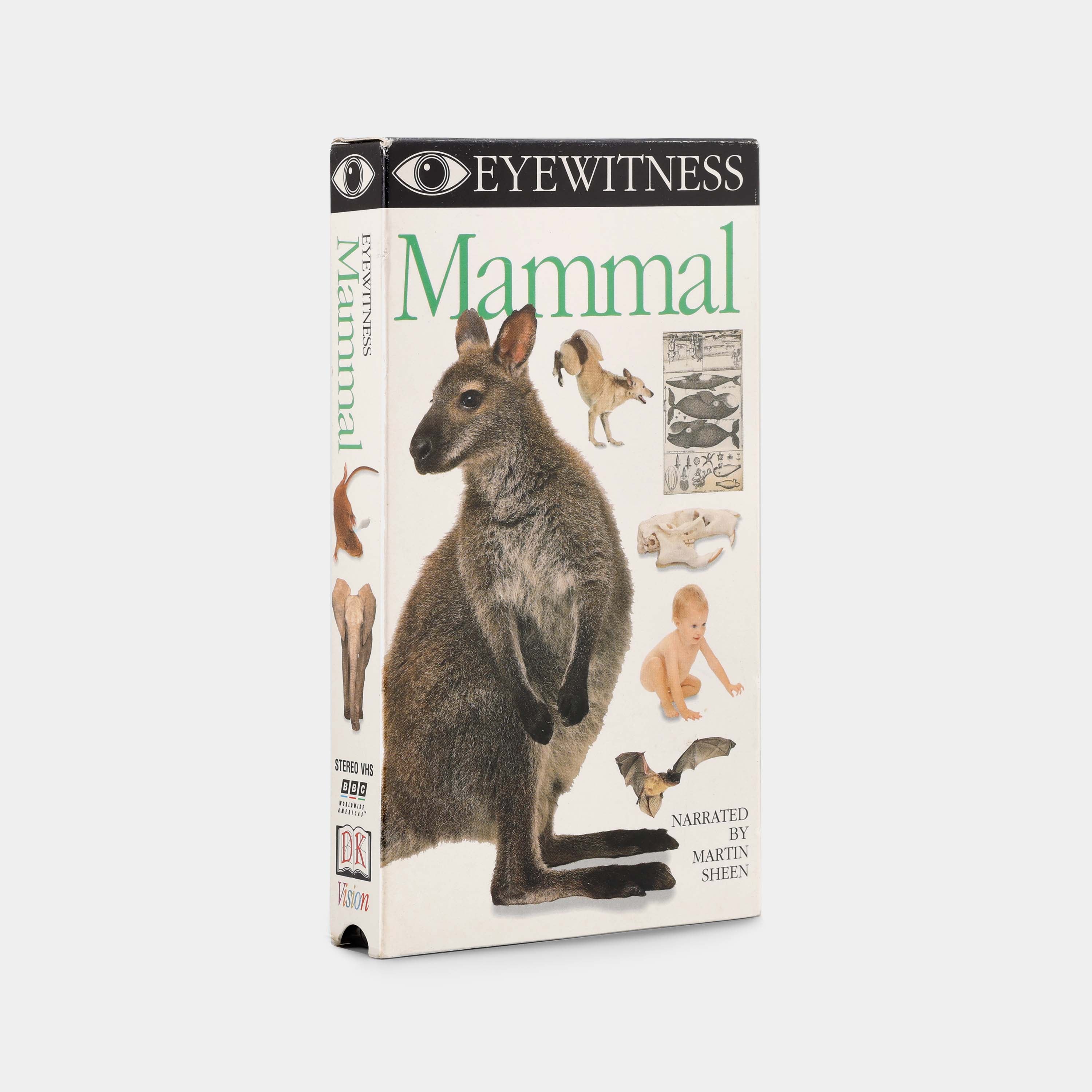 Eyewitness: Mammal VHS Tape