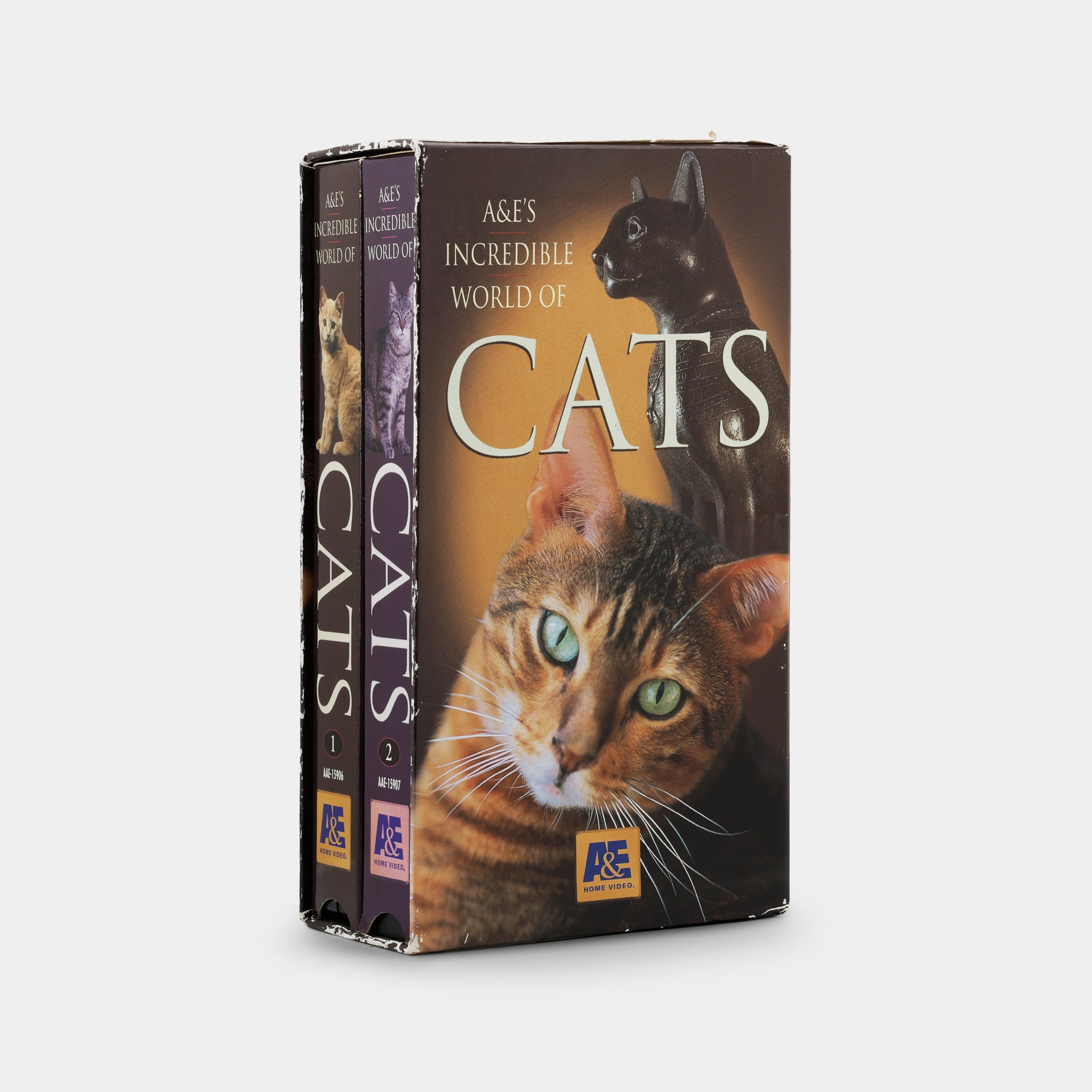 A&E’s Incredible World of Cats VHS Tape