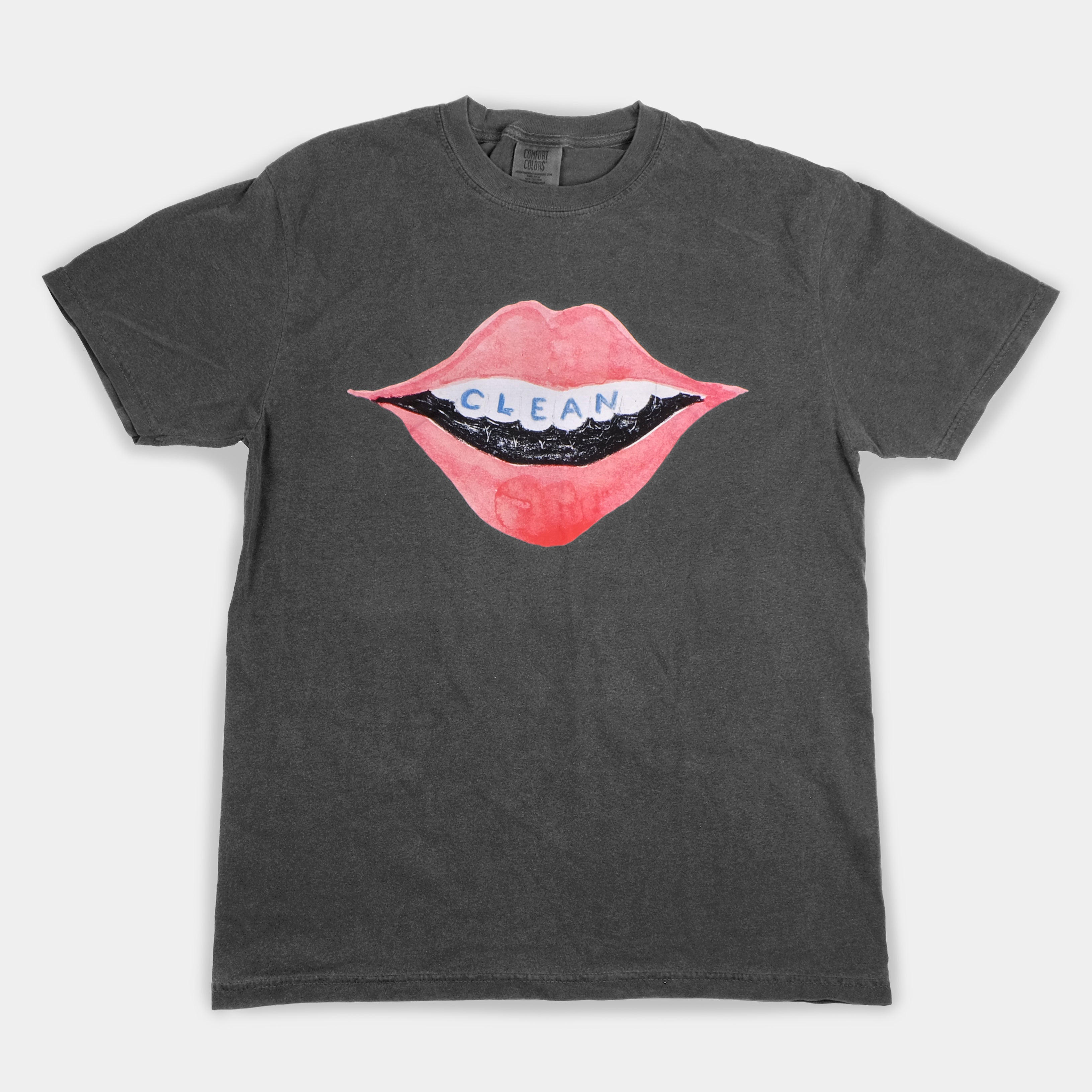 Earl's Closet - Earl McGrath "Clean Records" Gray T-Shirt