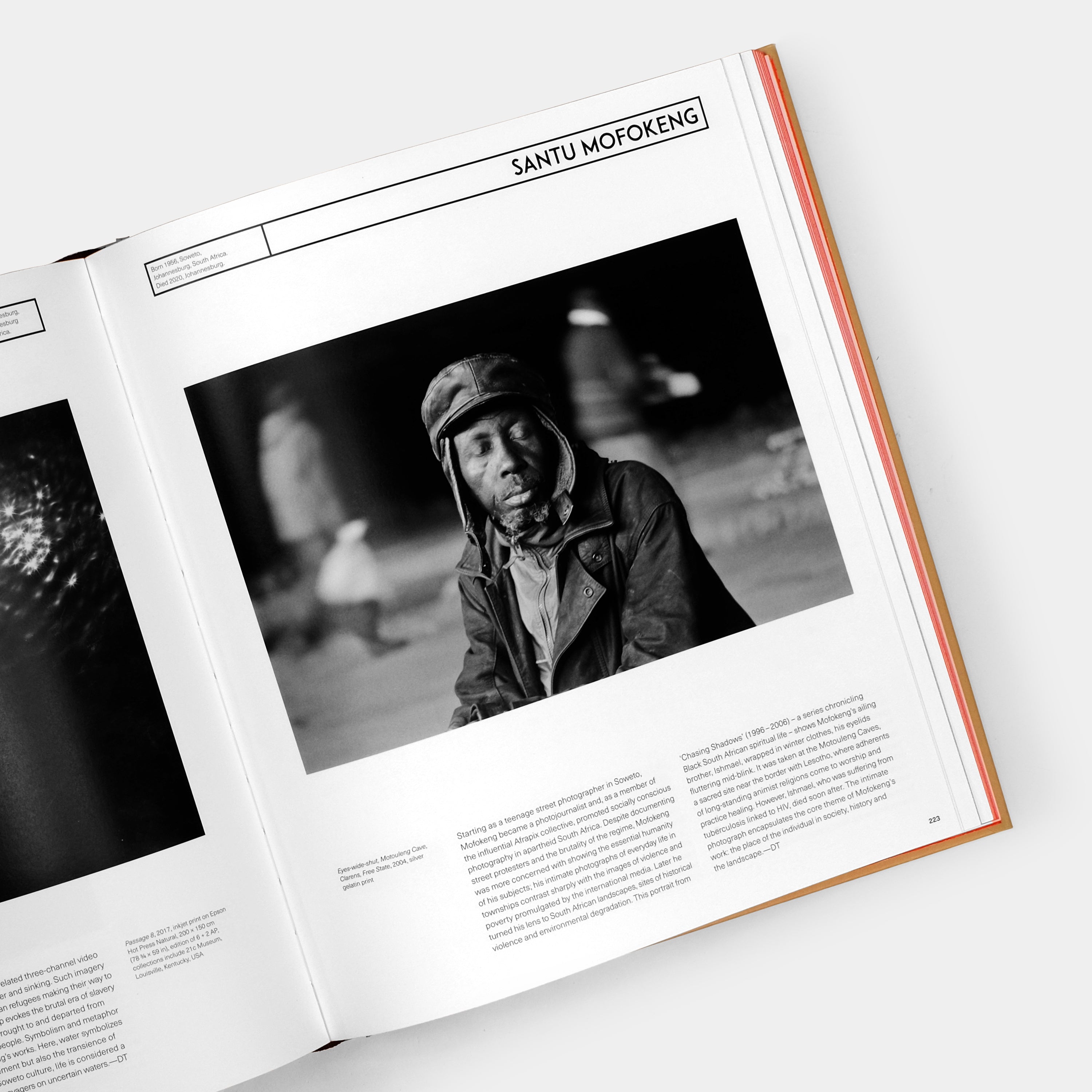 African Artists: From 1882 to Now by Phaidon Editors Book