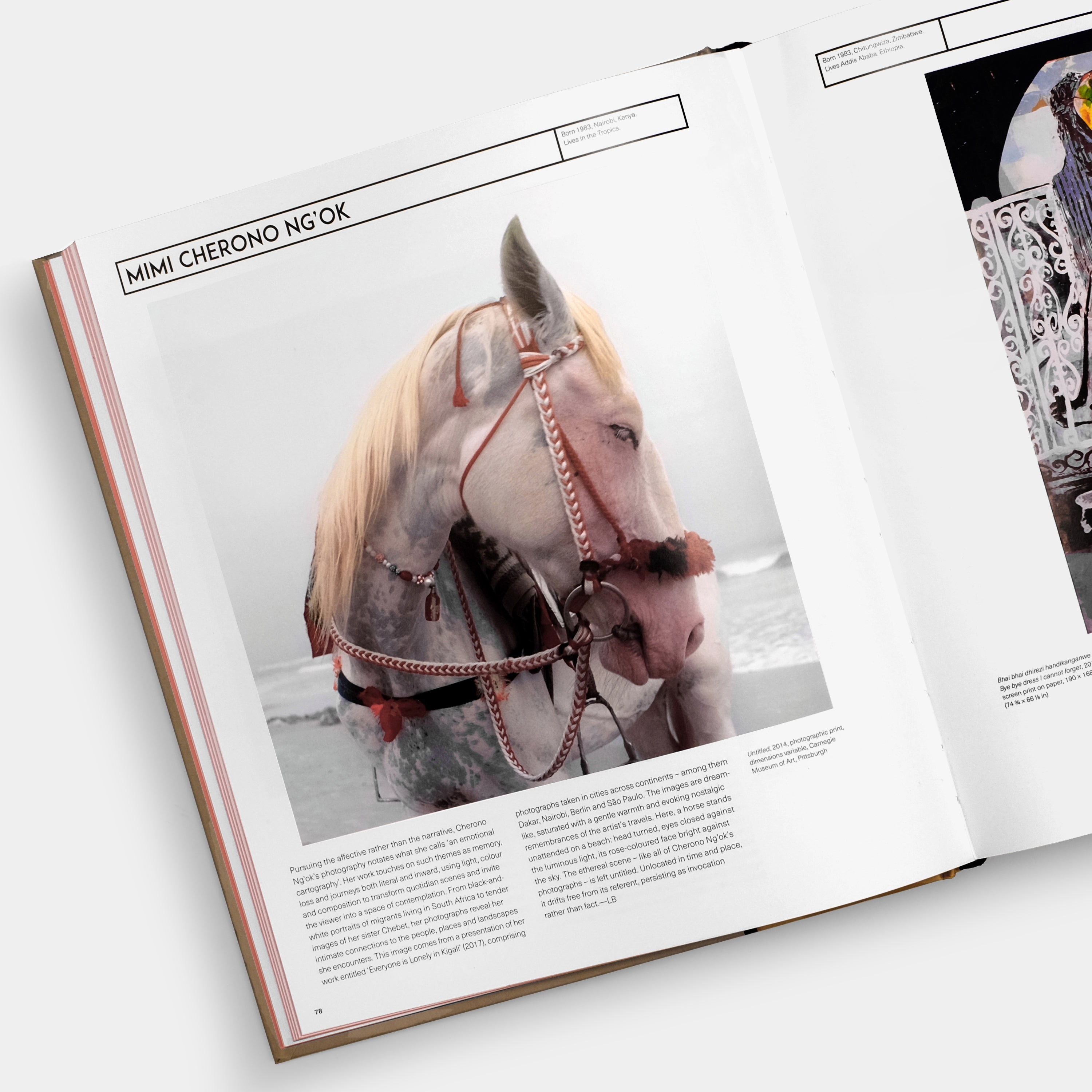 African Artists: From 1882 to Now by Phaidon Editors Book