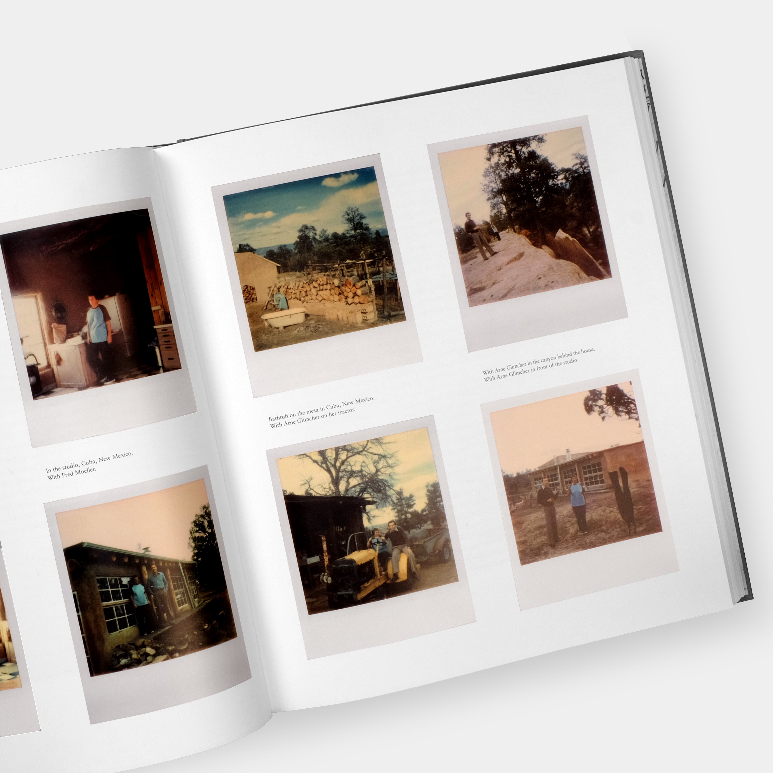 Agnes Martin: Painting, Writings, Remembrances by Arne Glimcher Phaidon Book