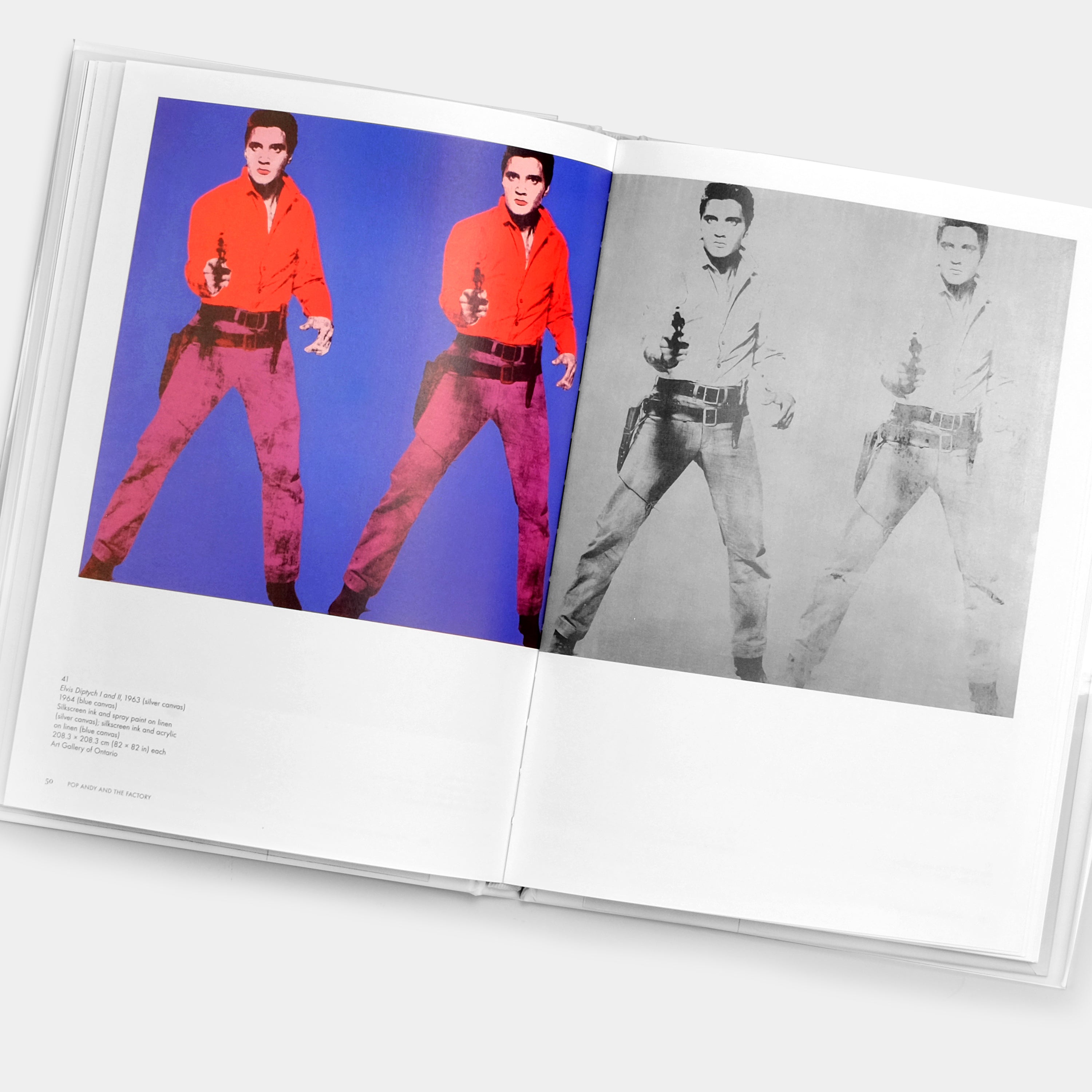 Andy Warhol: Phaidon Focus Book