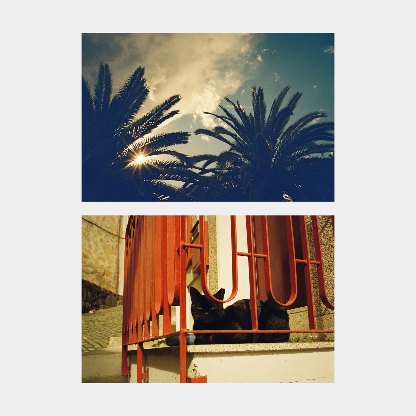 Dubblefilm Apollo 200 35mm Film (36 Exposures)