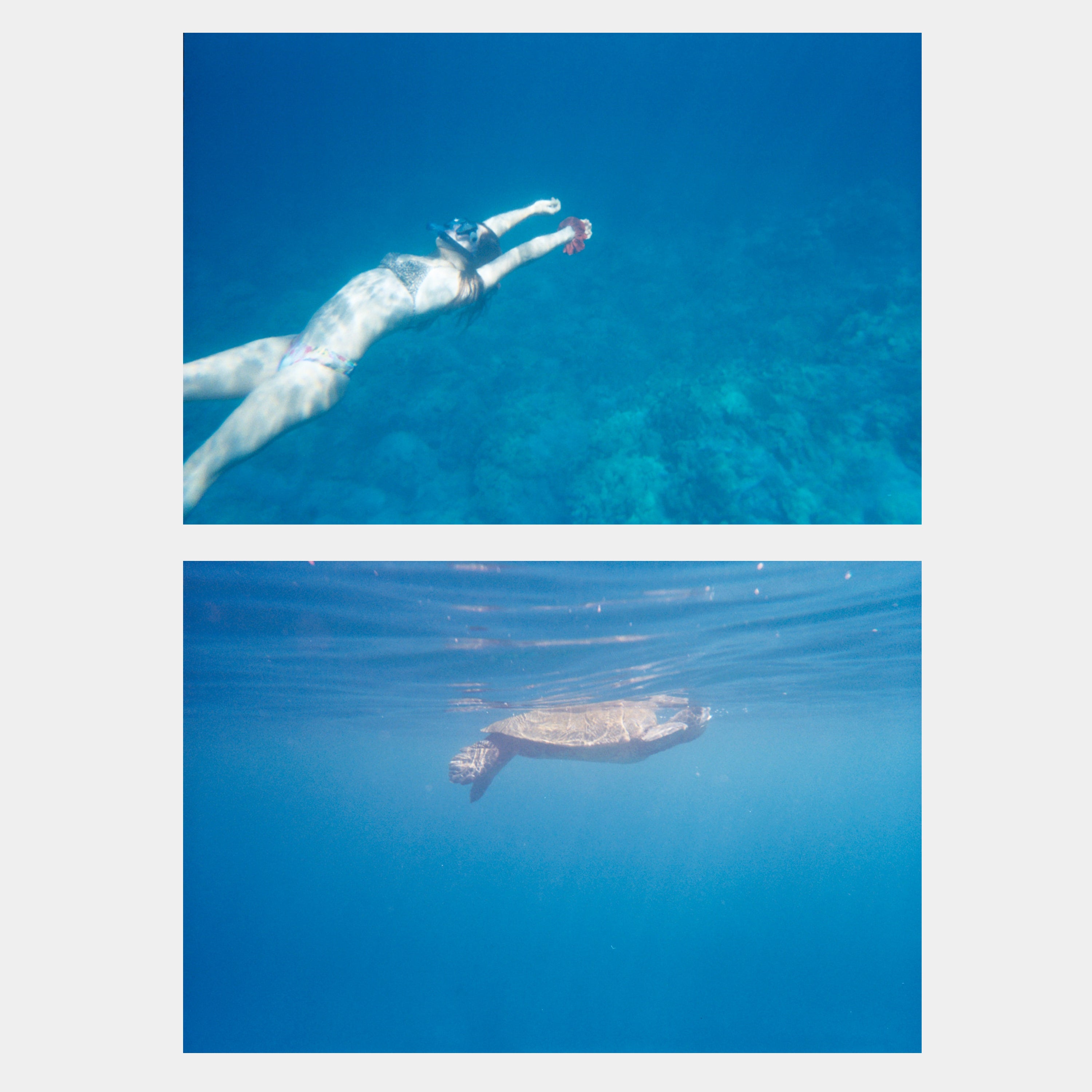 Lomography Analogue Aqua Underwater Simple Use 35mm Point and Shoot Film Camera