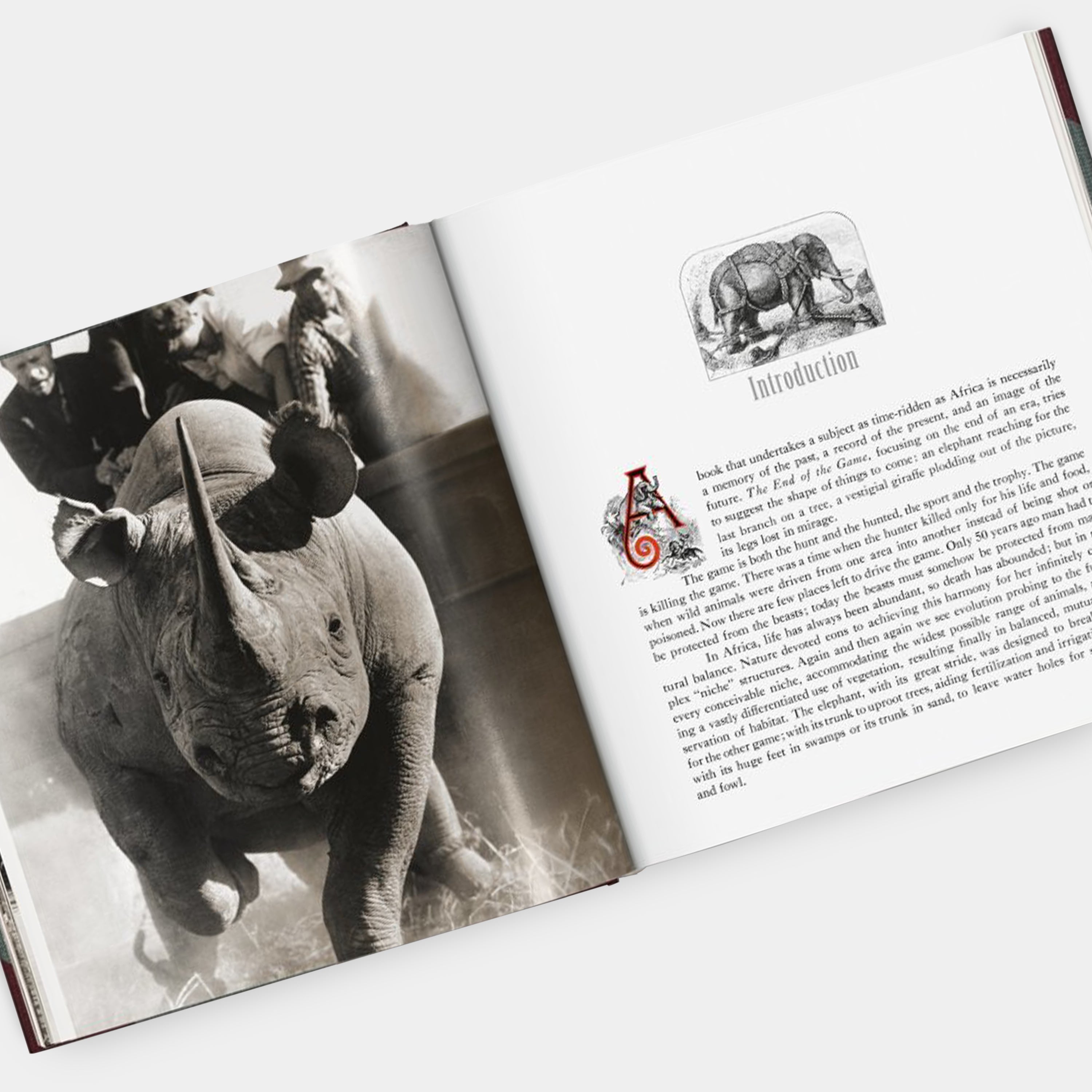 Peter Beard. The End of the Game Taschen Book