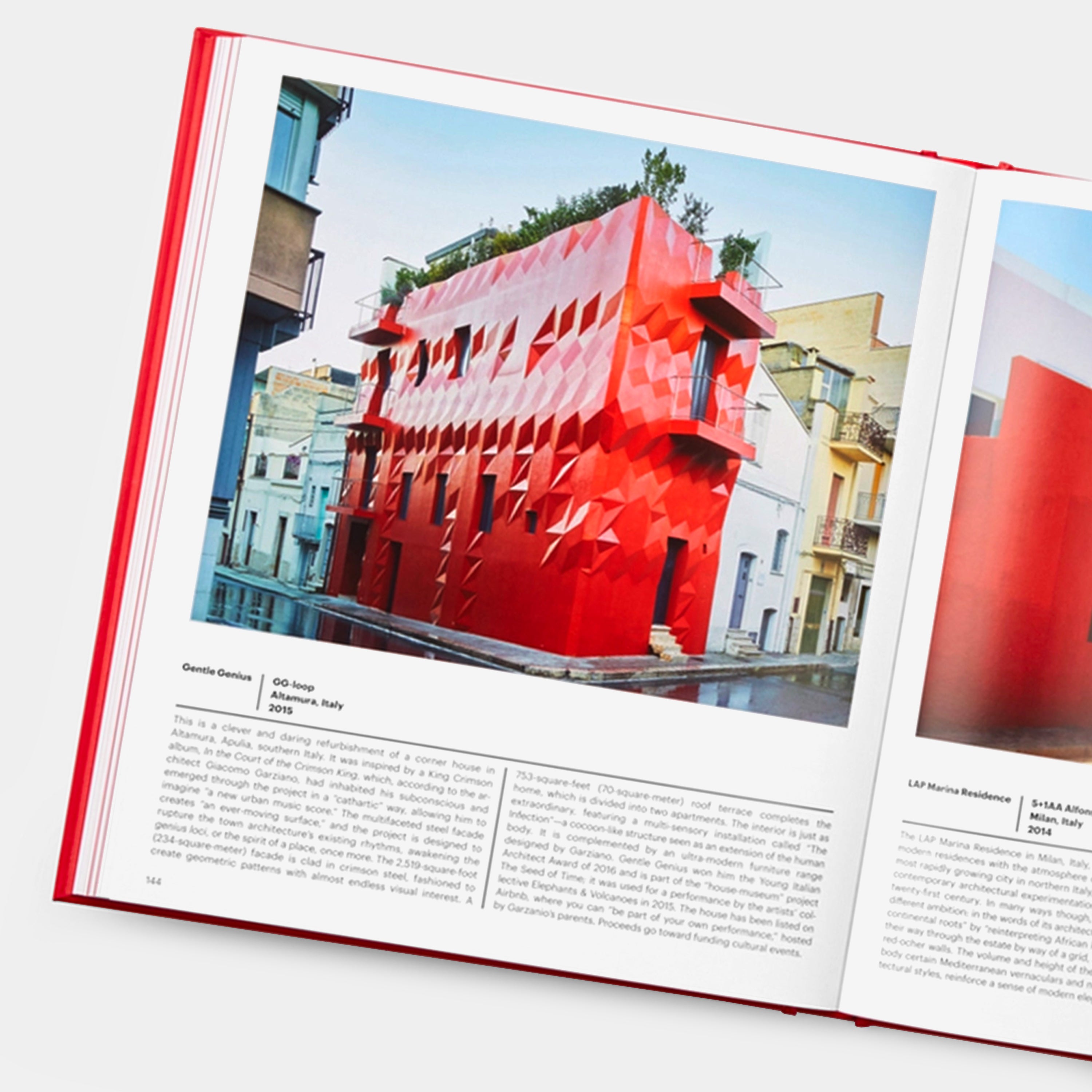 Red: Architecture In Monochrome Book