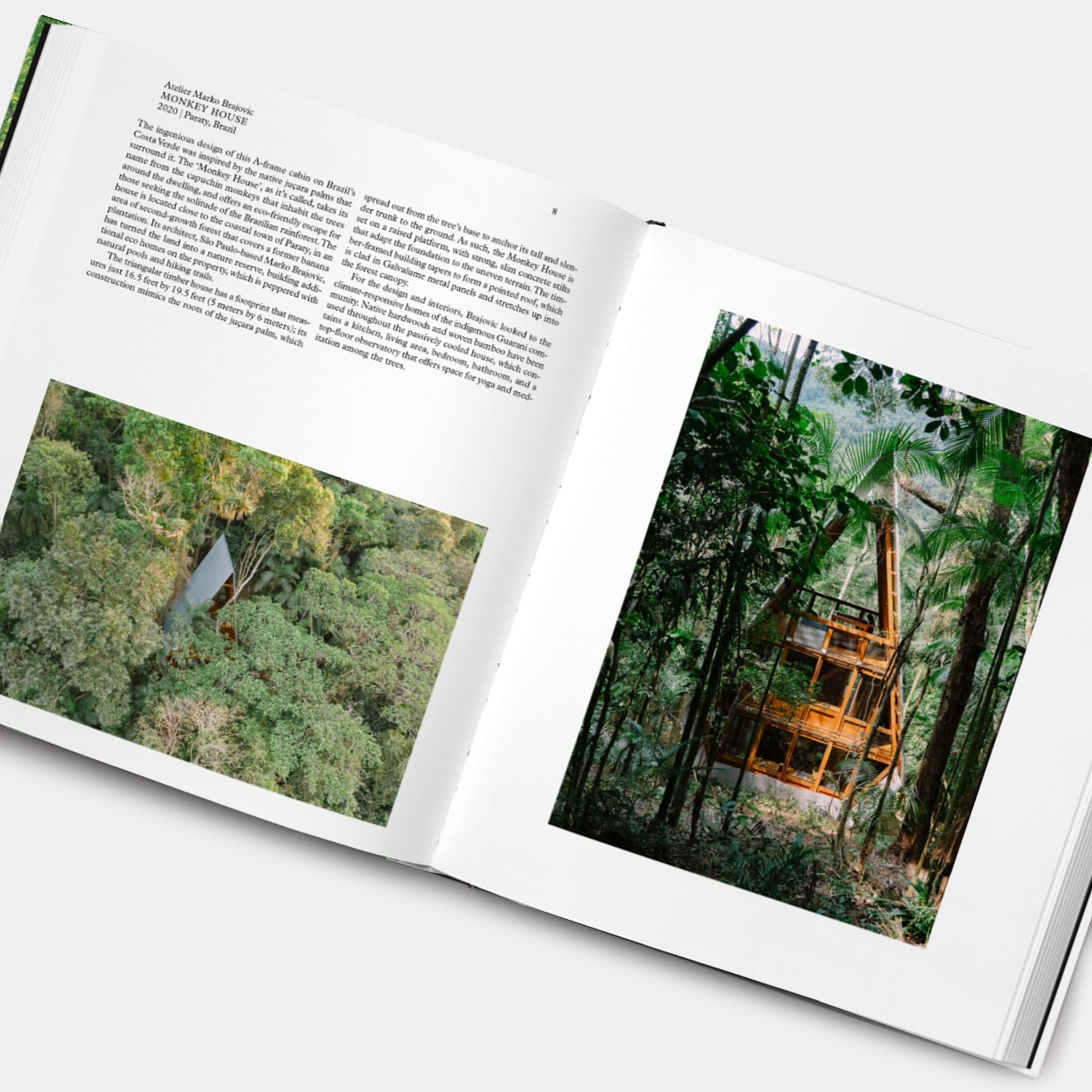 Living in the Forest Phaidon Book