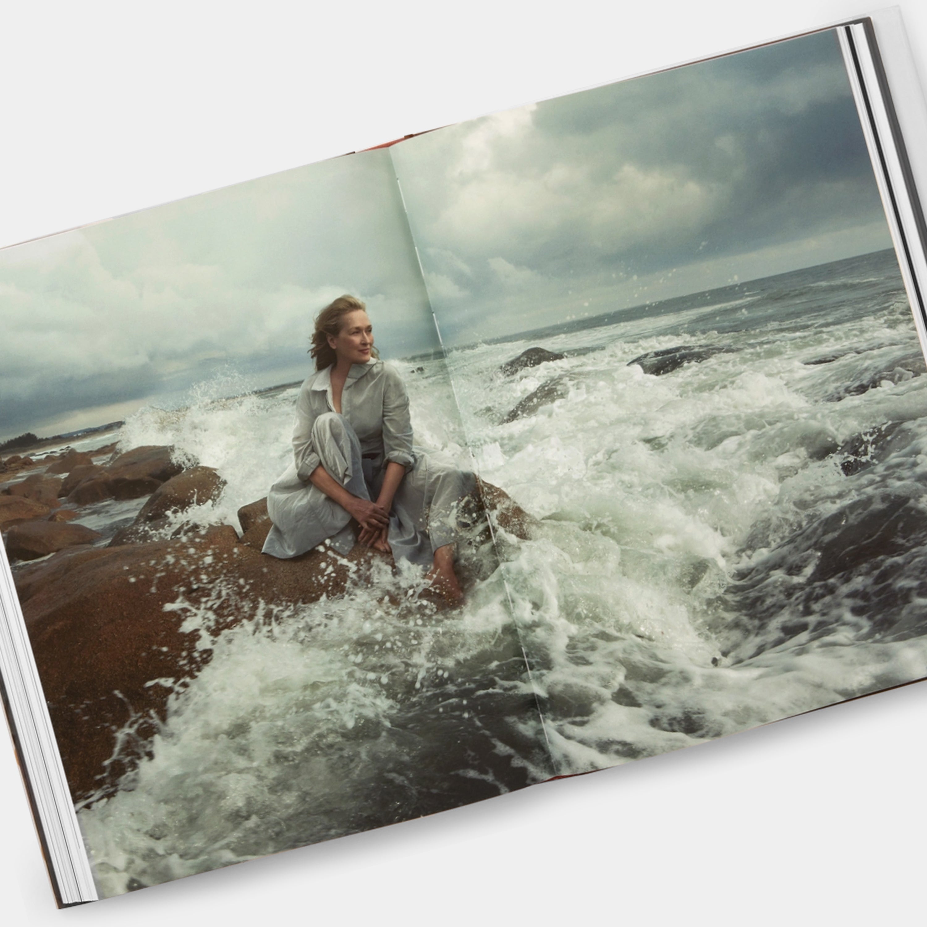 Annie Leibovitz, Portraits 2005-2016: Annie Leibovitz, with an essay by Alexandra Fuller Phaidon Book