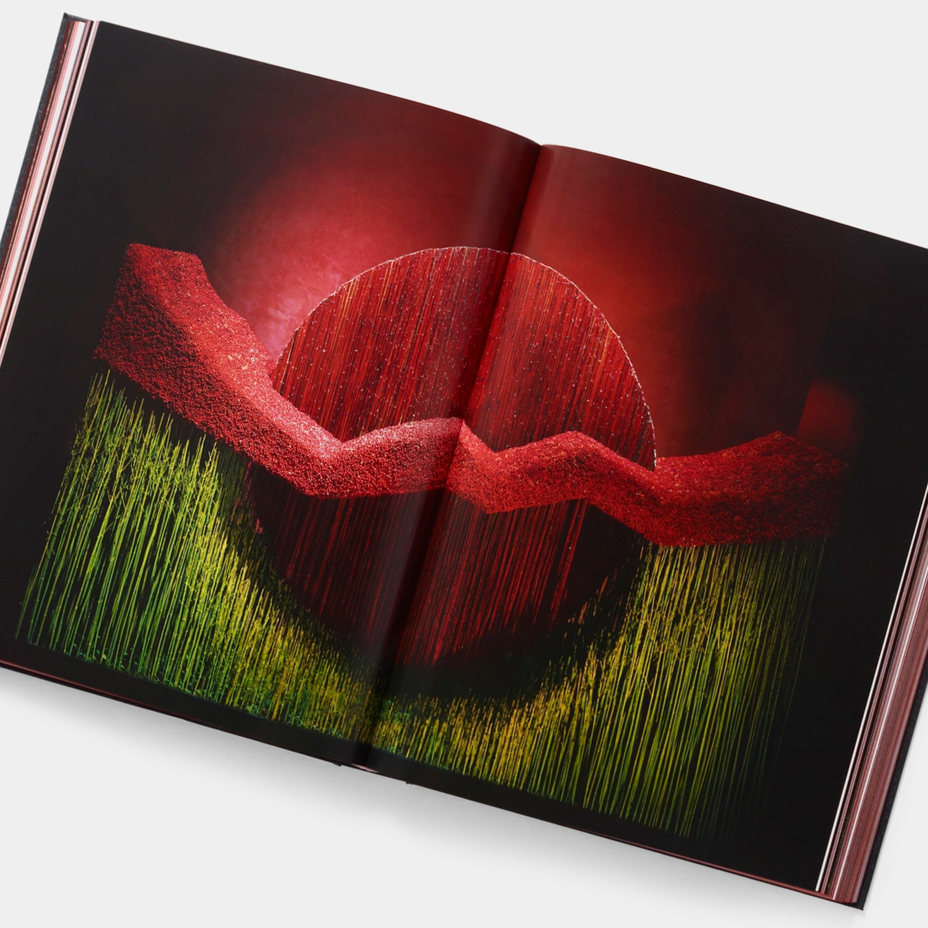 Daniel Ost: Floral Art and the Beauty of Impermanence Phaidon Book