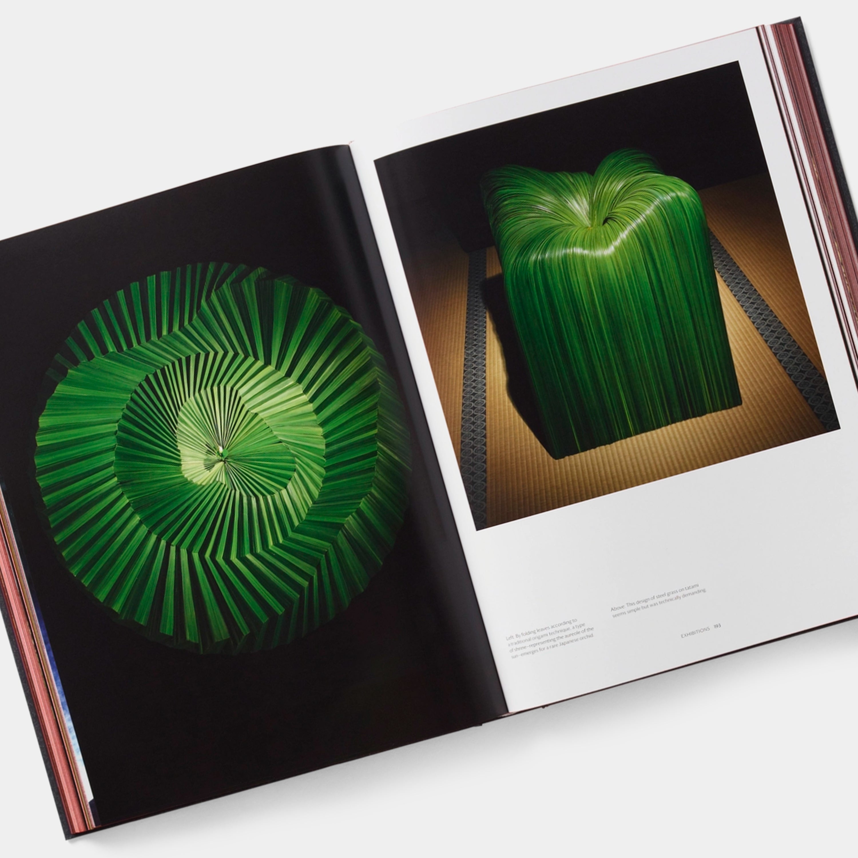 Daniel Ost: Floral Art and the Beauty of Impermanence Phaidon Book