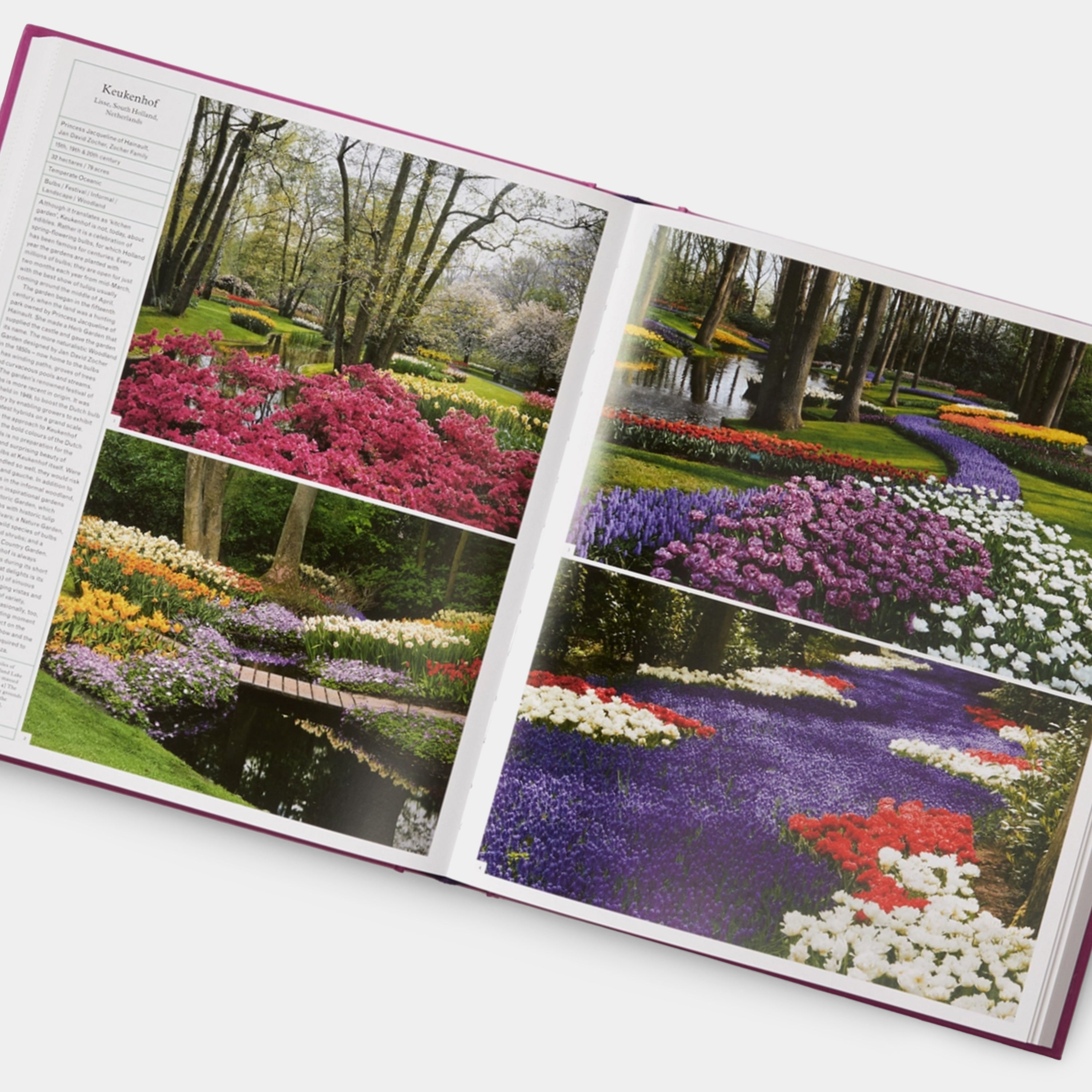 The Gardener's Garden: Inspiration Across Continents and Centuries Phaidon Book