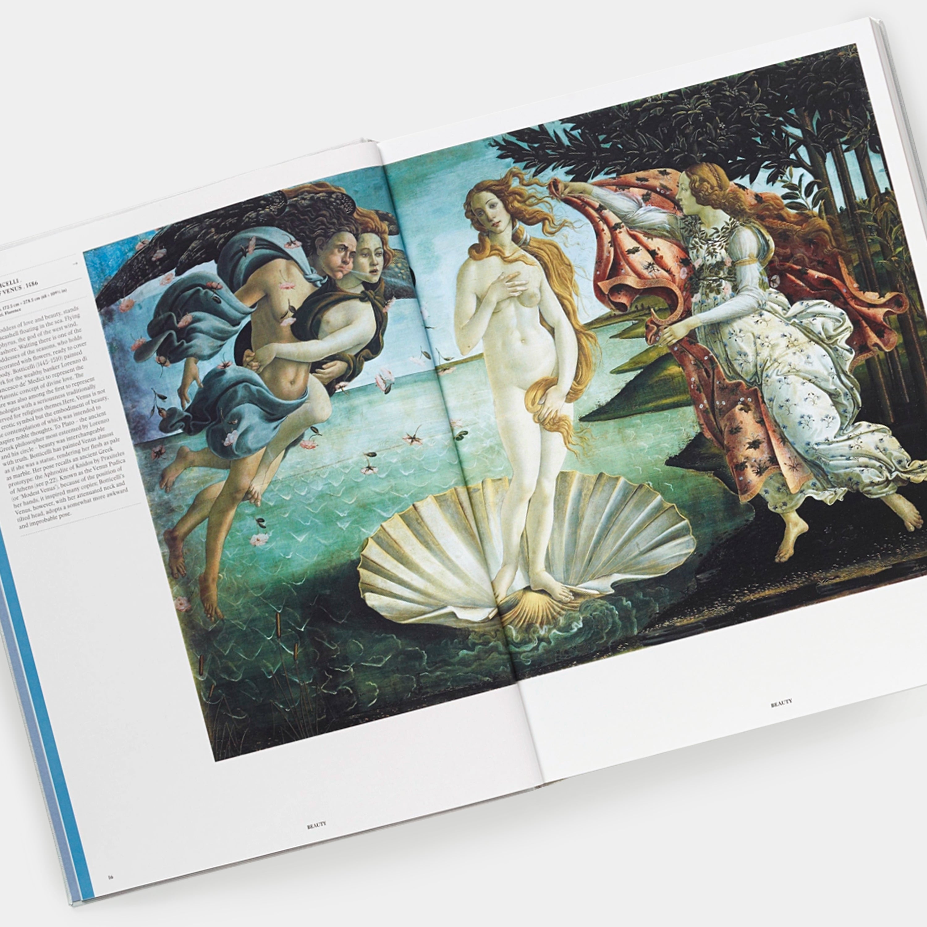 Body of Art: Conceived and edited by Phaidon Editors Phaidon Book