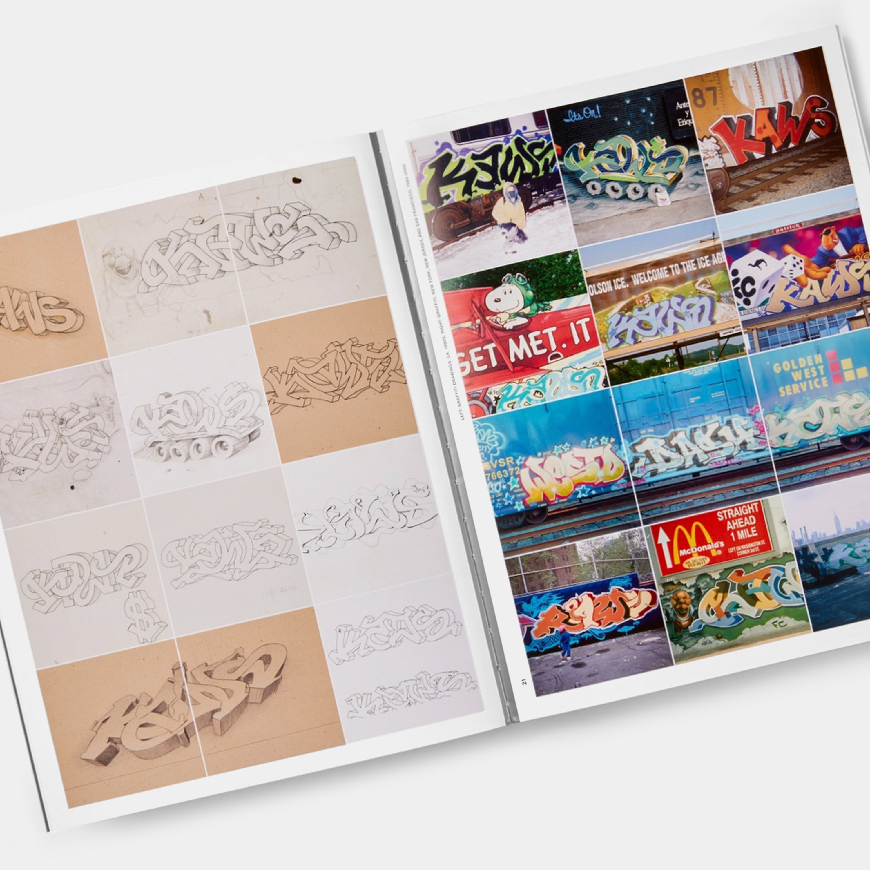 KAWS: WHAT PARTY (Black on Pink edition) Phaidon Book