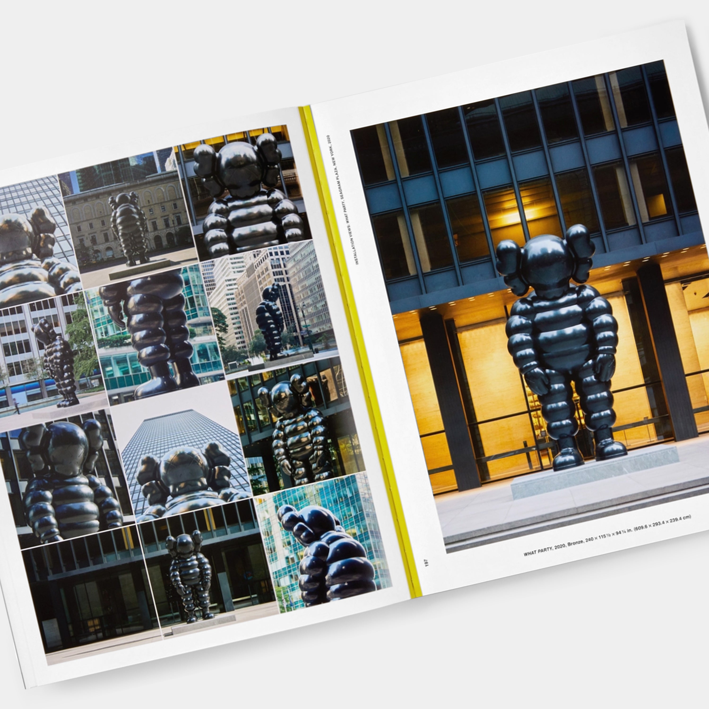 KAWS: WHAT PARTY (Black on Pink edition) Phaidon Book