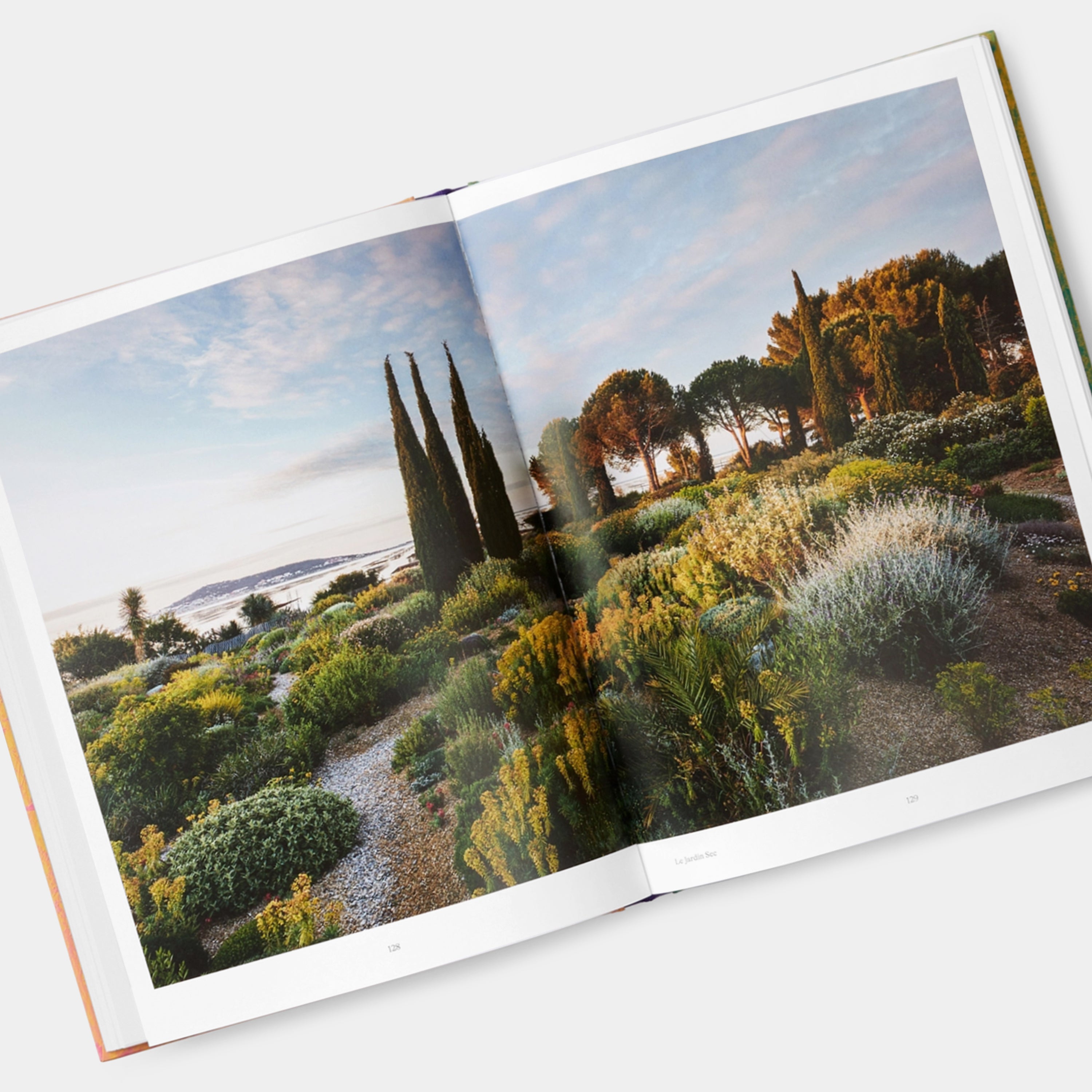 Wild: The Naturalistic Garden Phaidon Book