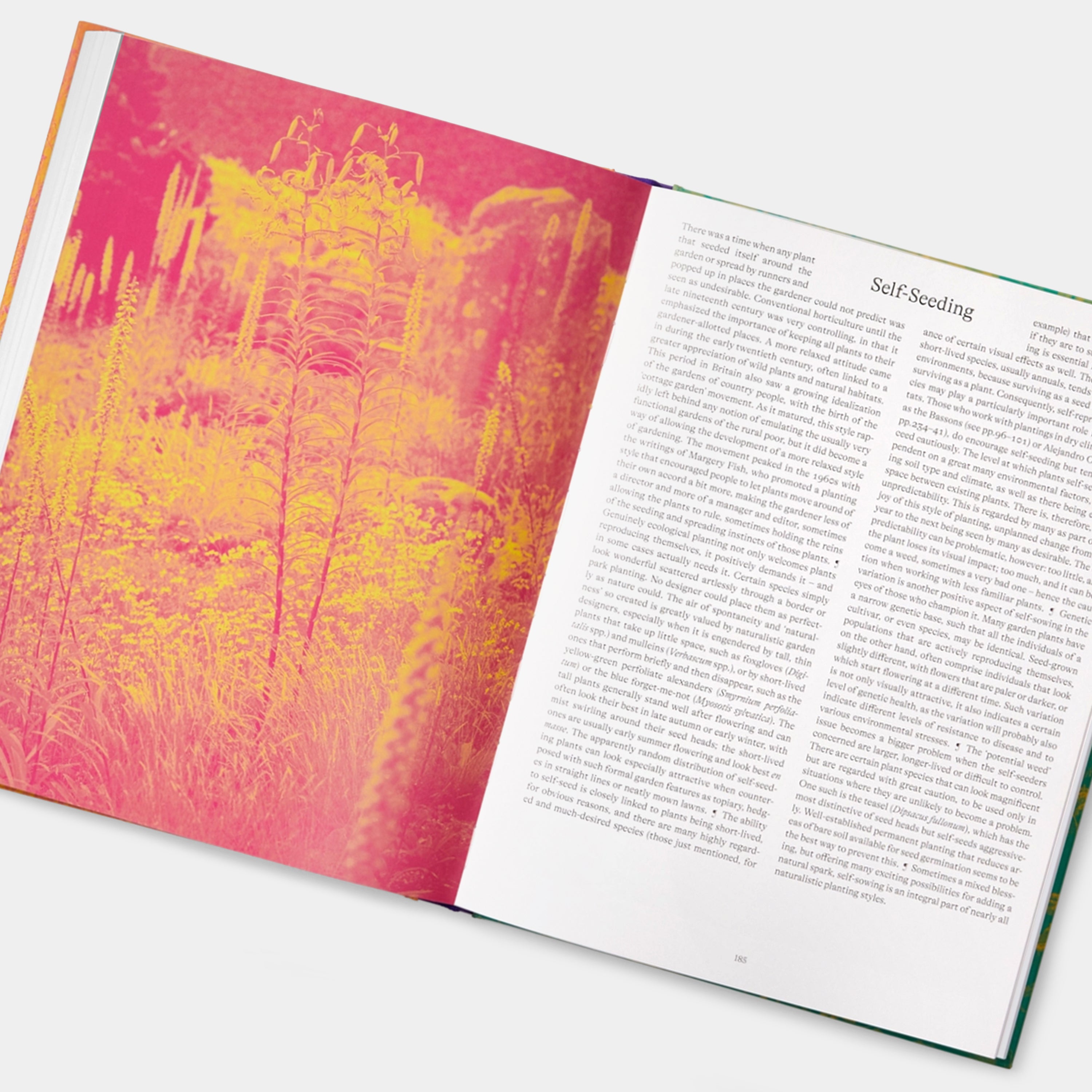 Wild: The Naturalistic Garden Phaidon Book