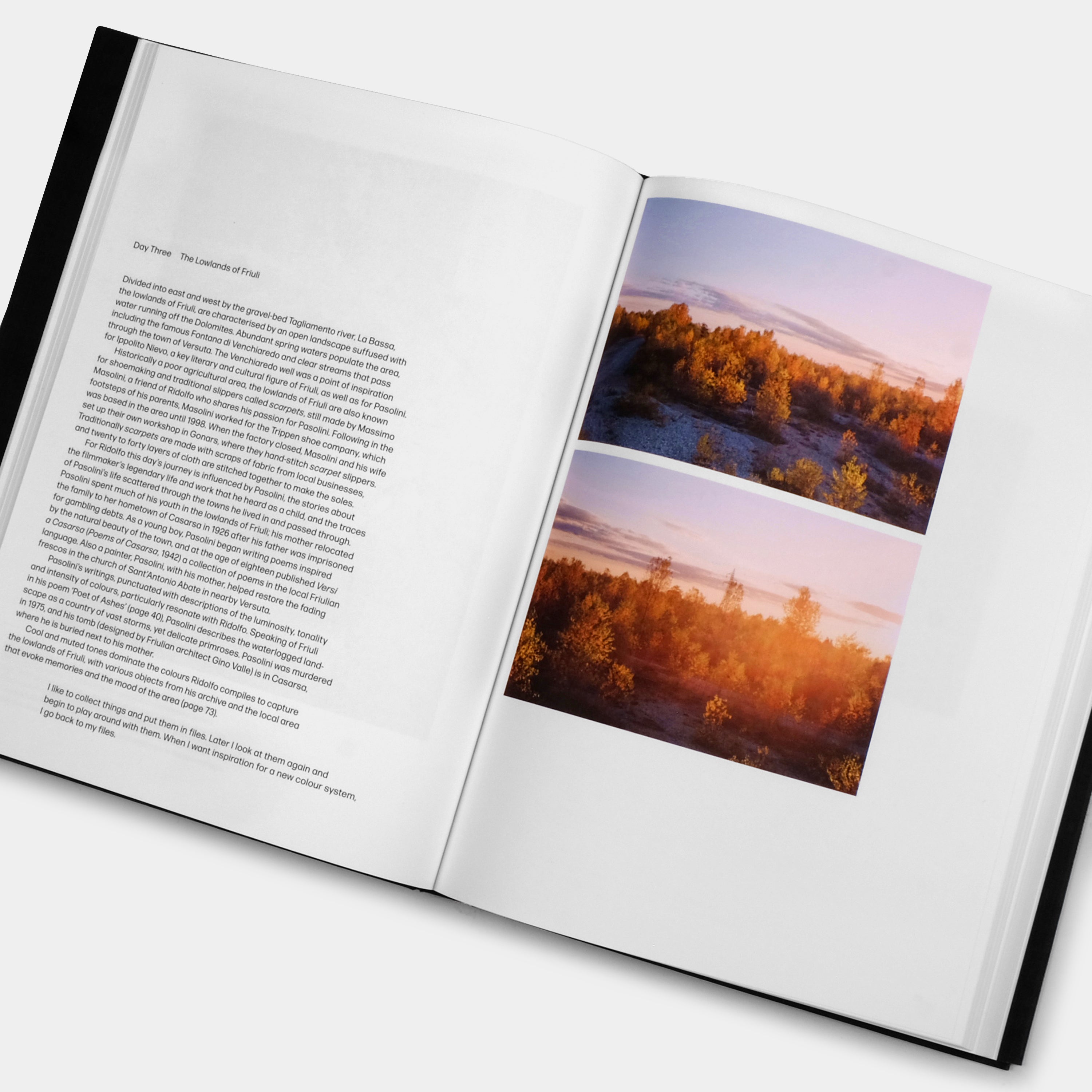 Materialising Colour: Journeys with Giulio Ridolfo Phaidon Book