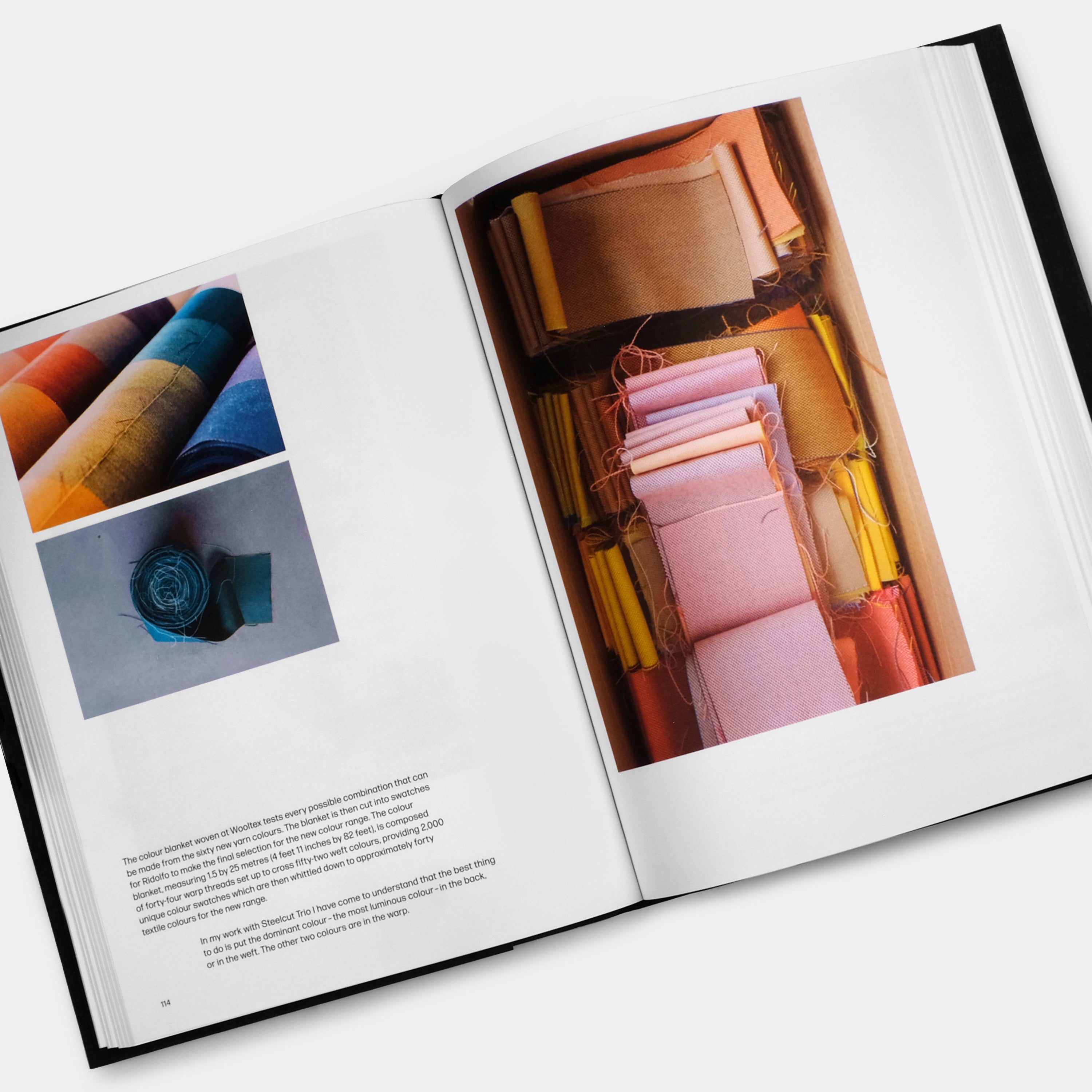 Materialising Colour: Journeys with Giulio Ridolfo Phaidon Book