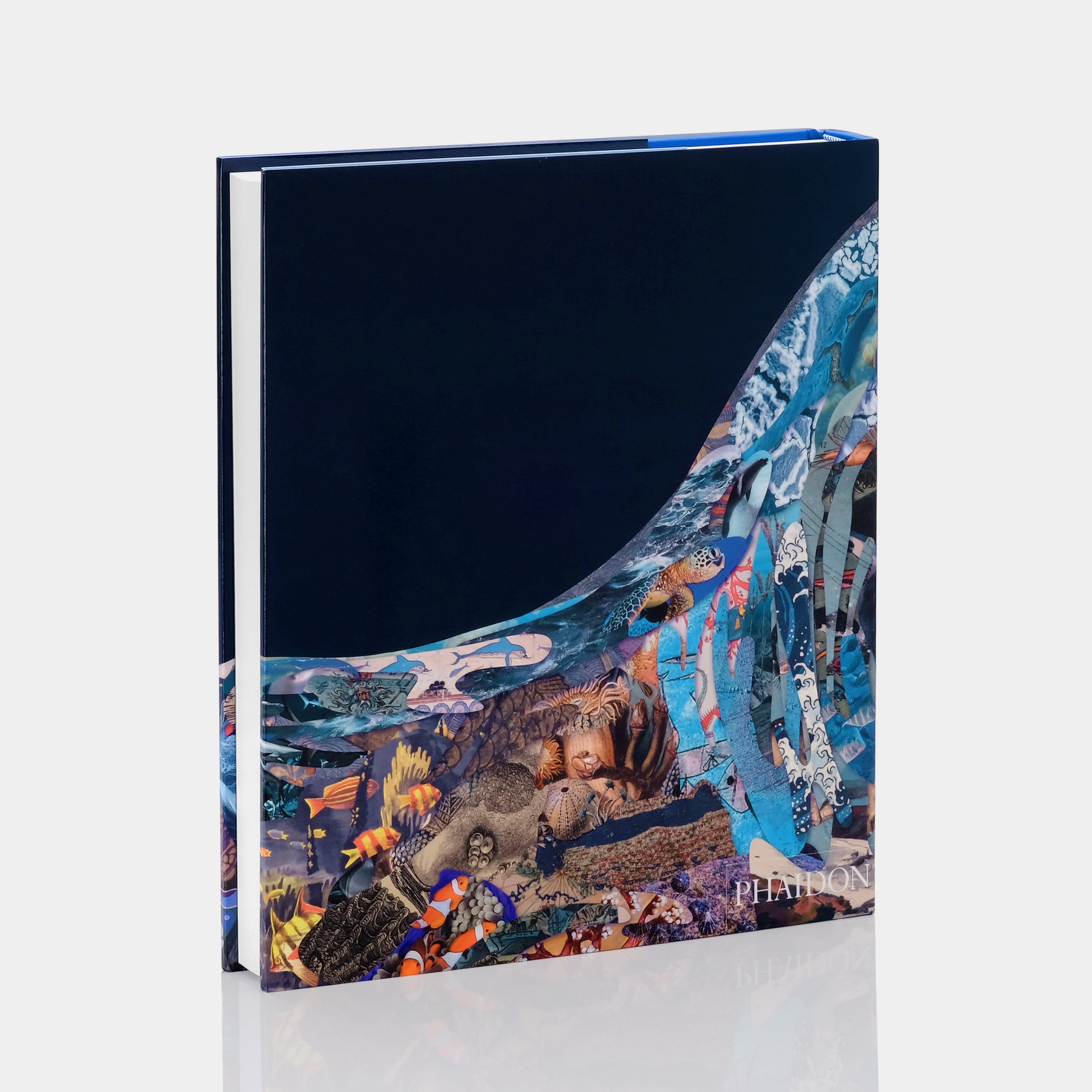 Ocean: Exploring the Marine World Phaidon Book