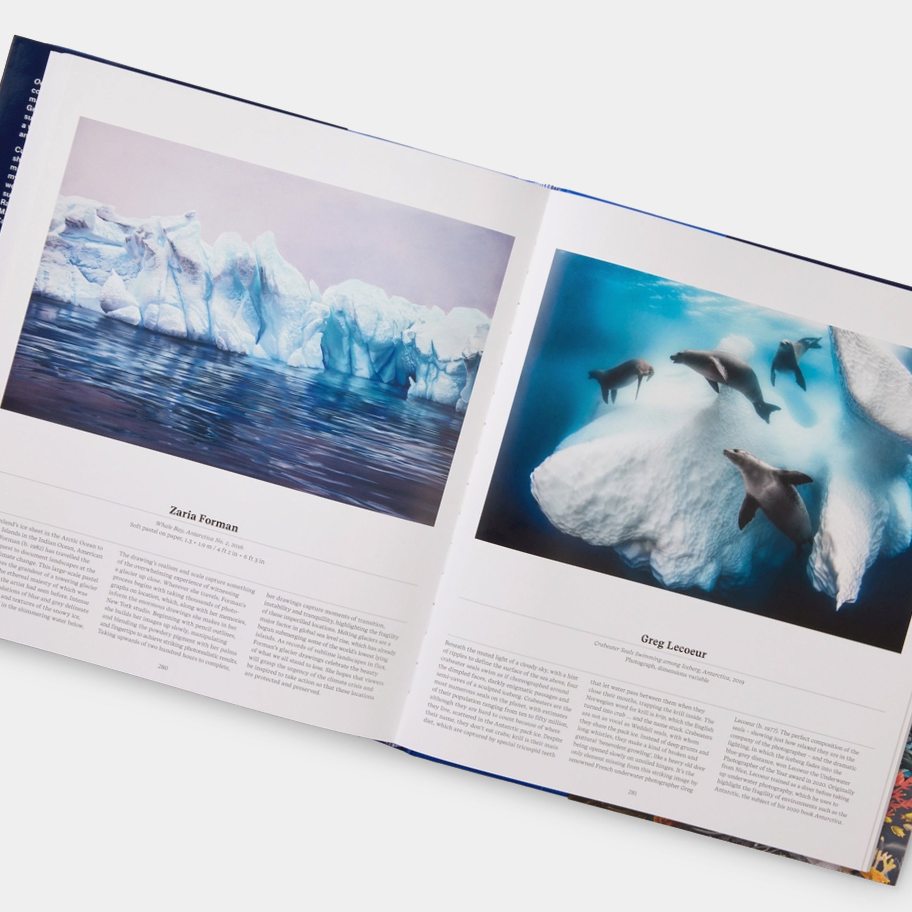 Ocean: Exploring the Marine World Phaidon Book