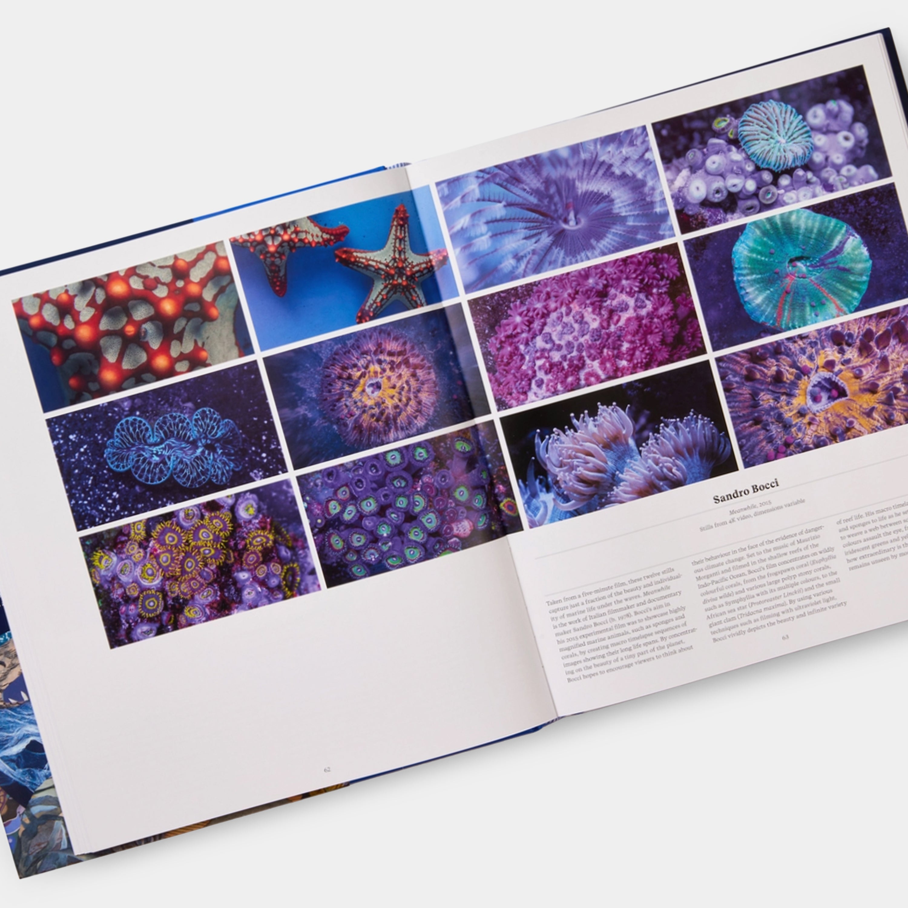 Ocean: Exploring the Marine World Phaidon Book