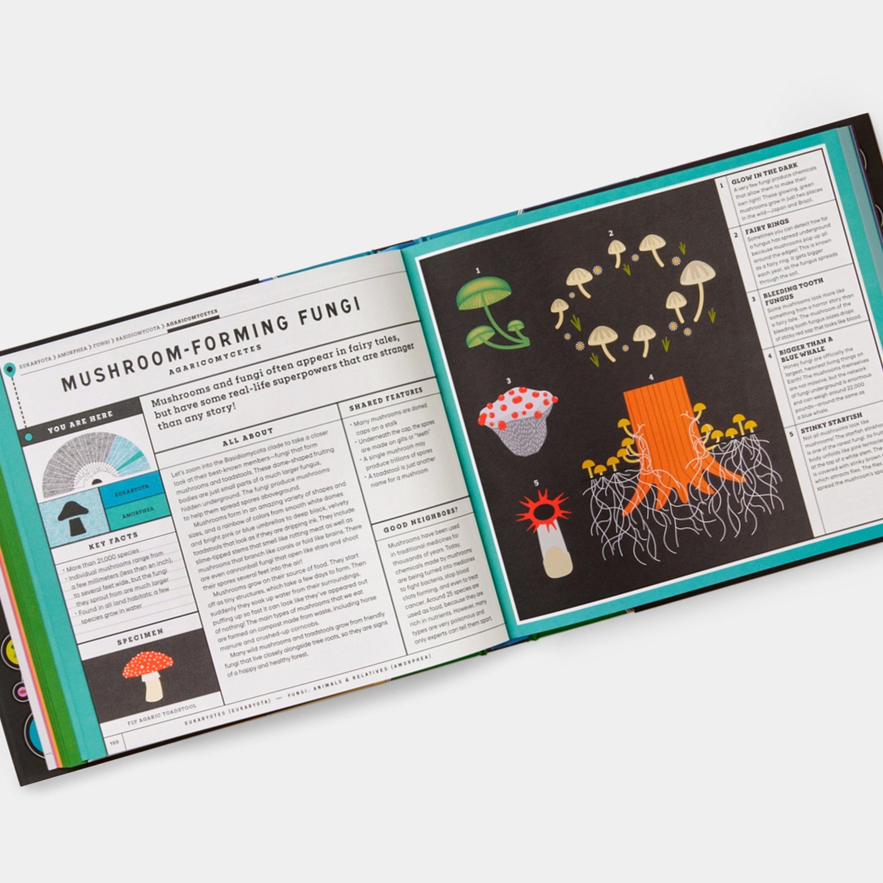 Full of Life: Exploring Earth's Biodiversity Phaidon Book