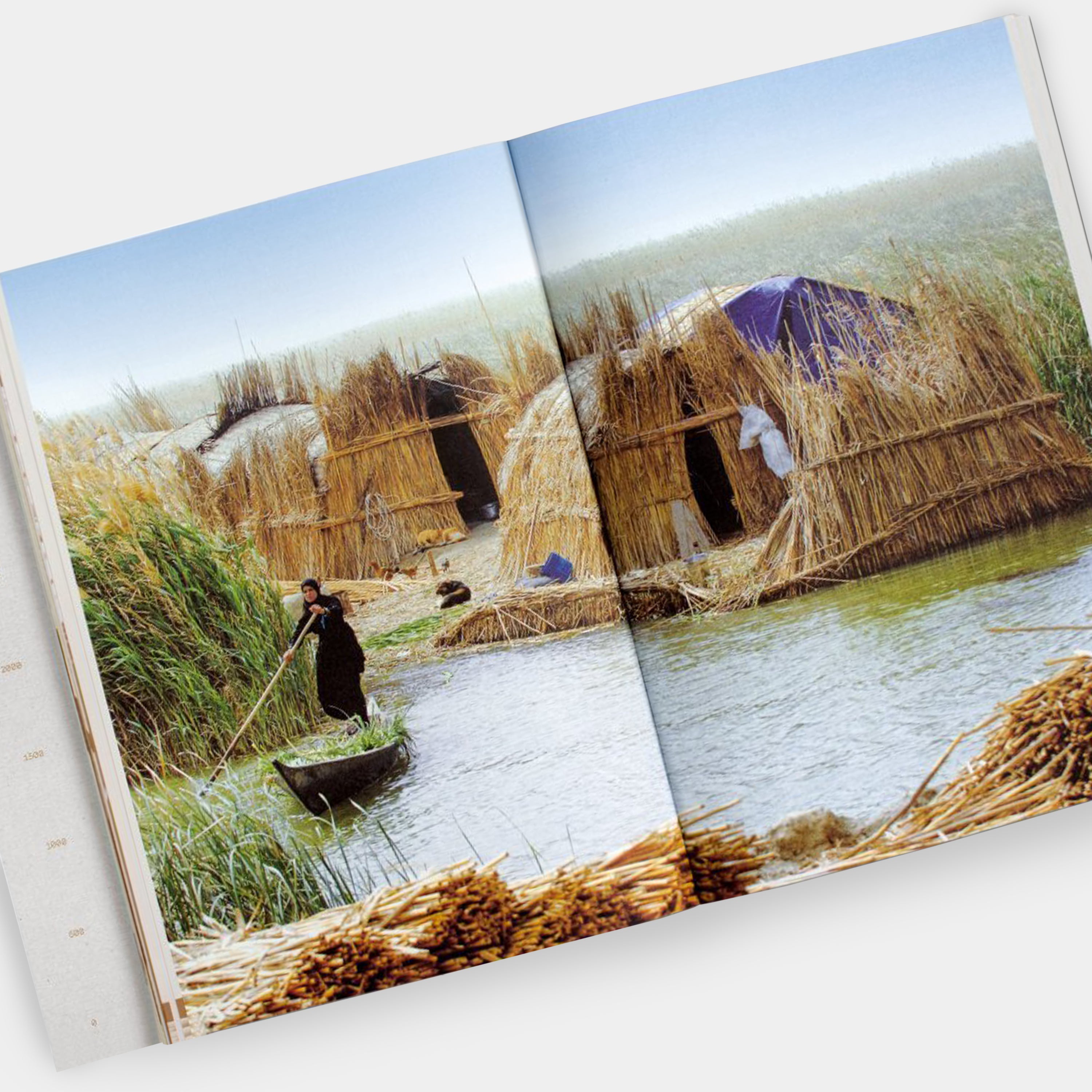 Julia Watson. Lo—TEK. Design by Radical Indigenism Taschen Book