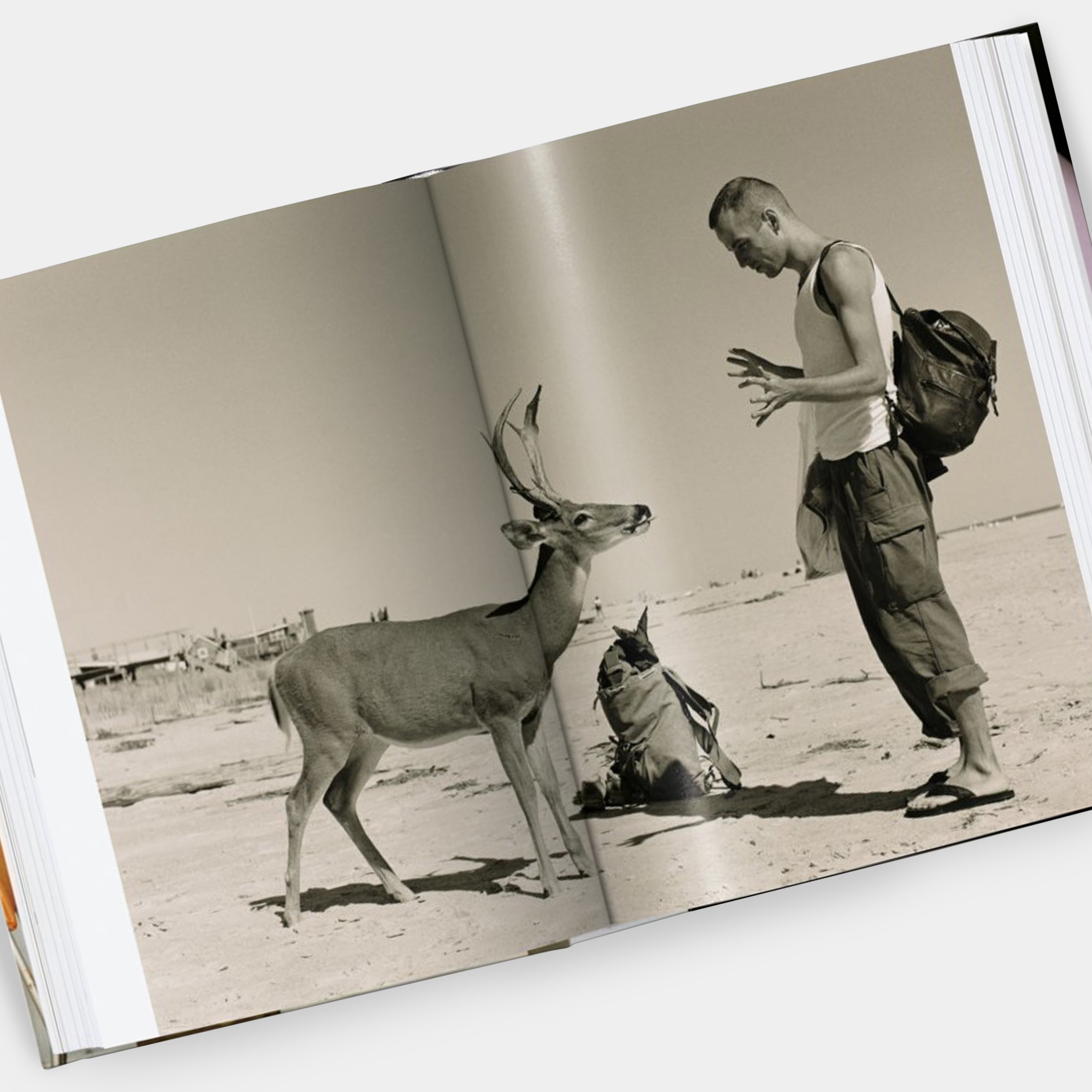Wolfgang Tillmans. four books (40th Ed.) Taschen Book