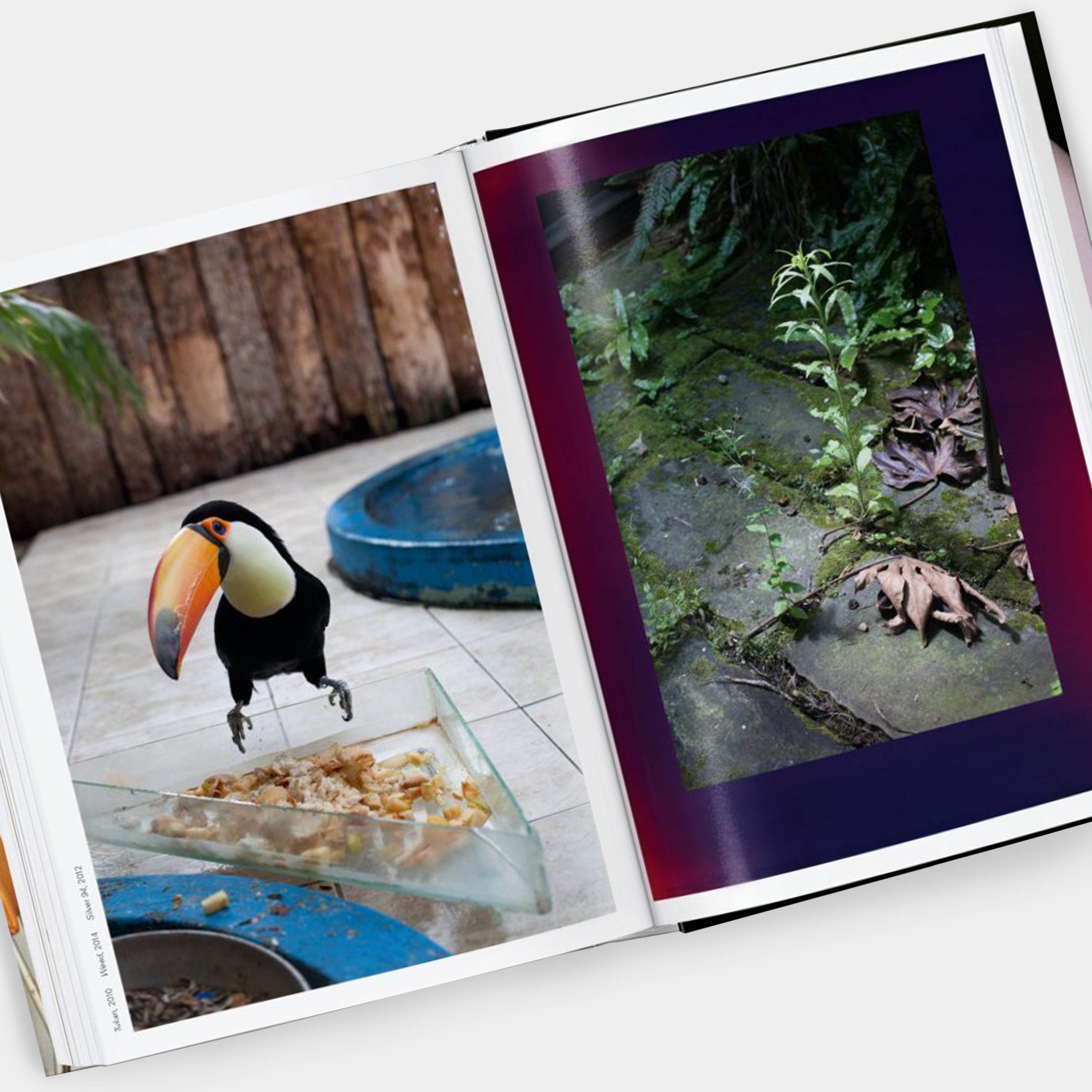 Wolfgang Tillmans. four books (40th Ed.) Taschen Book