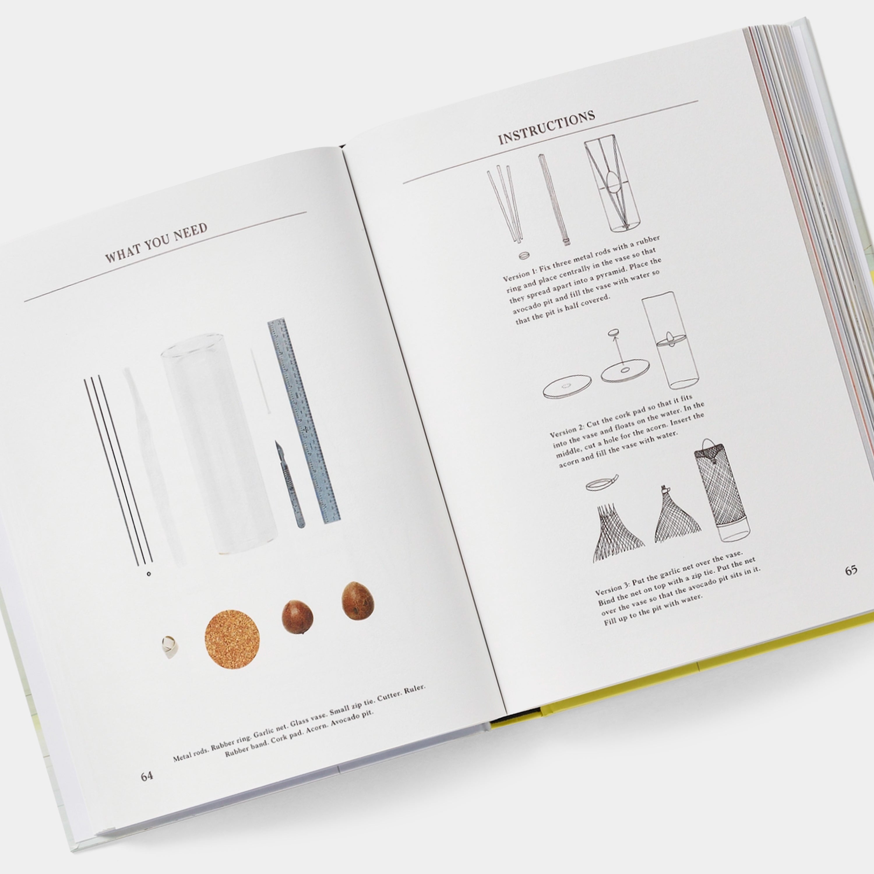 Do It Yourself: 50 Projects by Designers and Artists Phaidon Book
